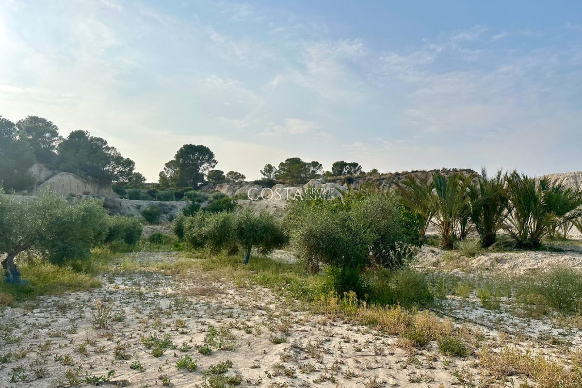 Resale - Villa -
Abanilla - Abanilla Centro