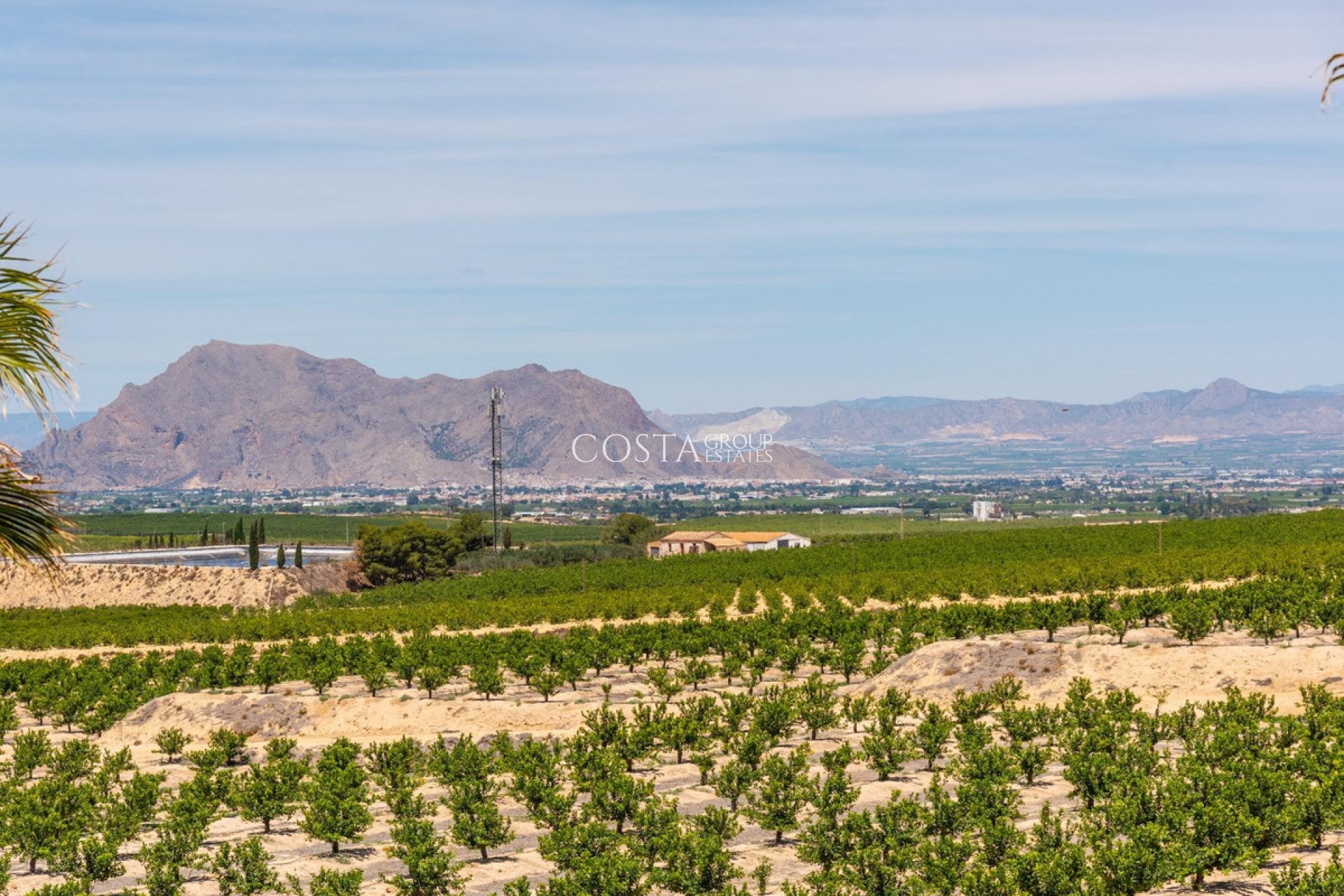 Resale - Villa -
Algorfa - Algorfa Centro