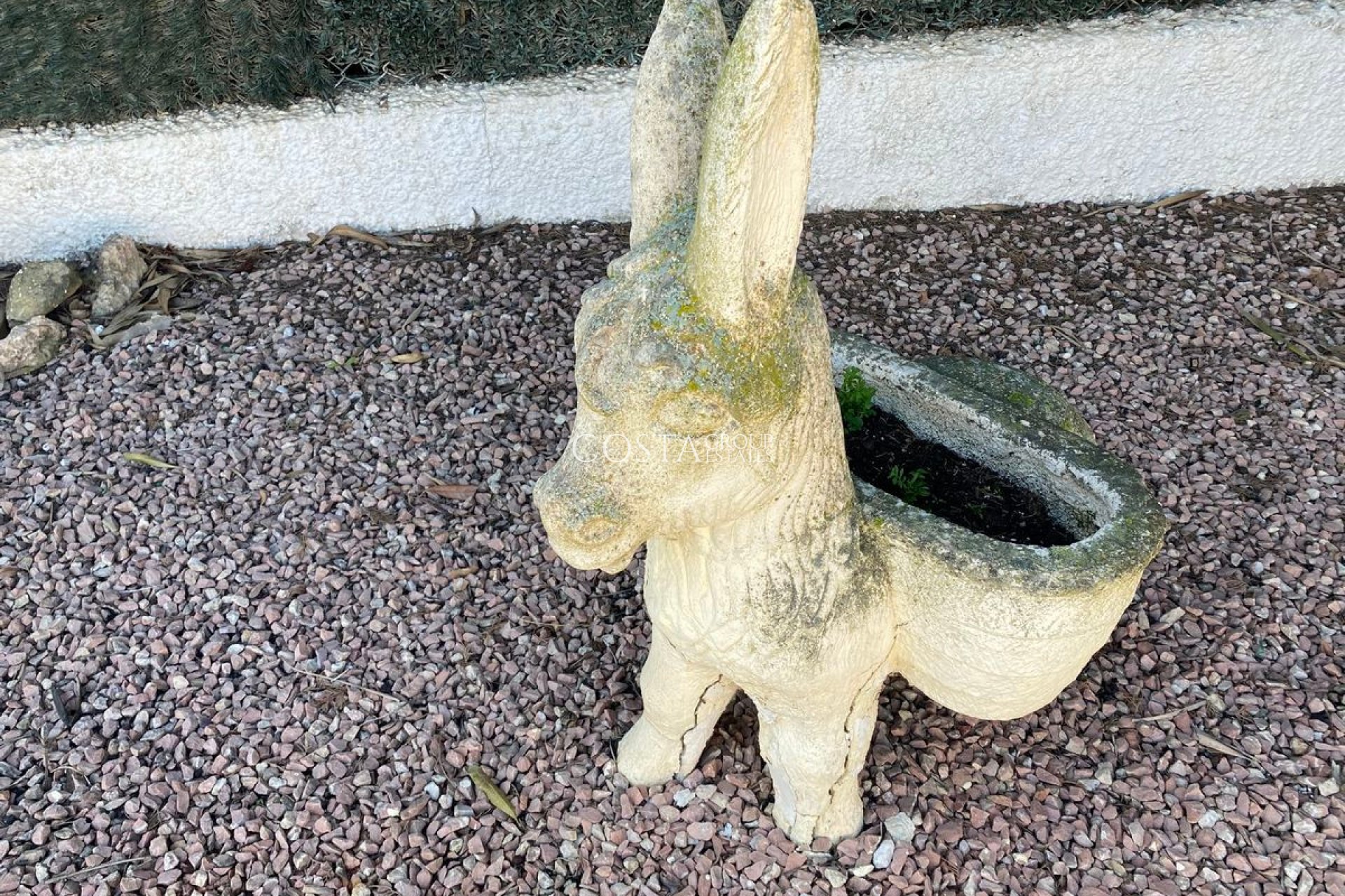 Resale - Villa -
Algorfa - Algorfa Centro