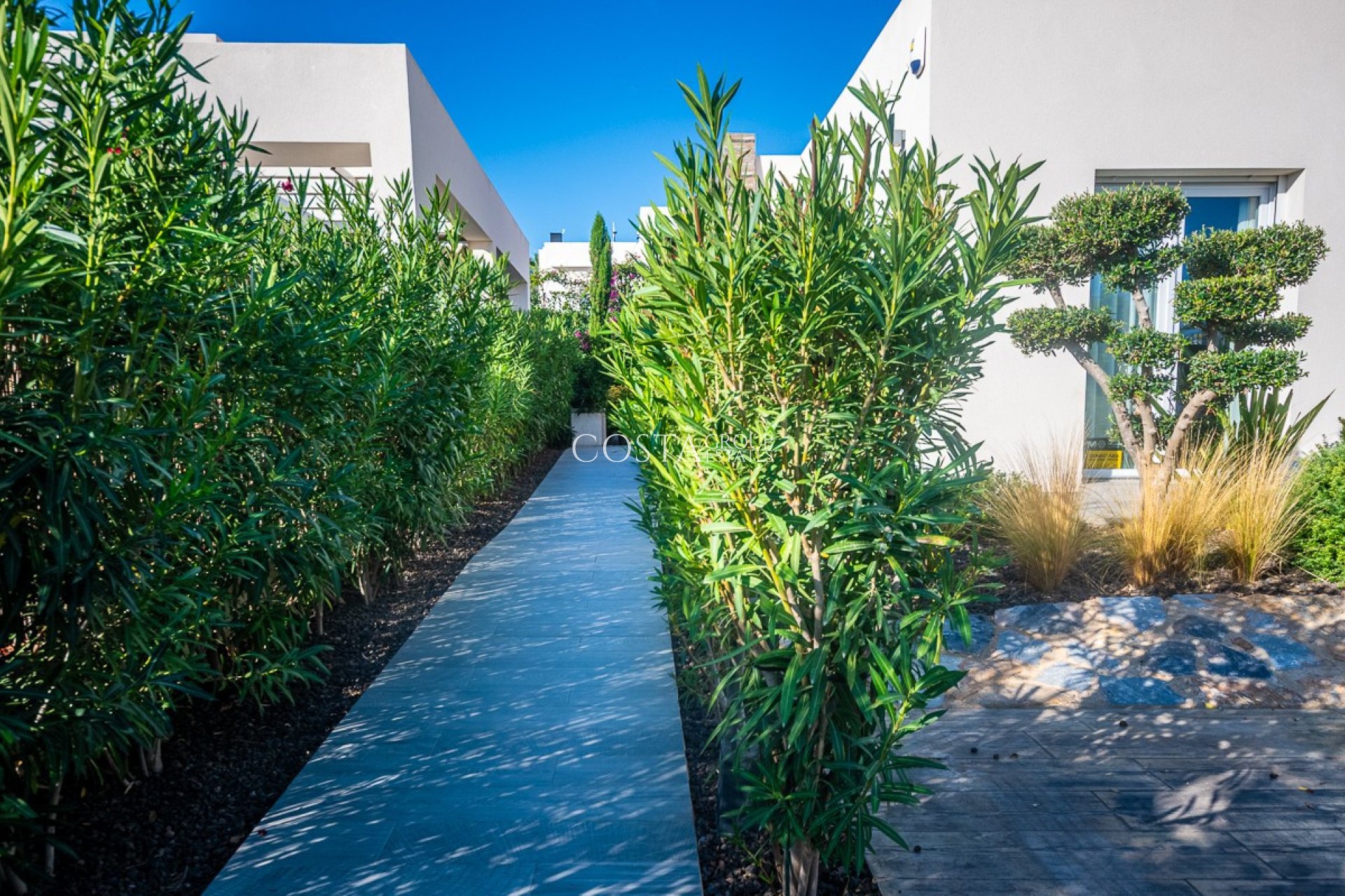 Resale - Villa -
Algorfa