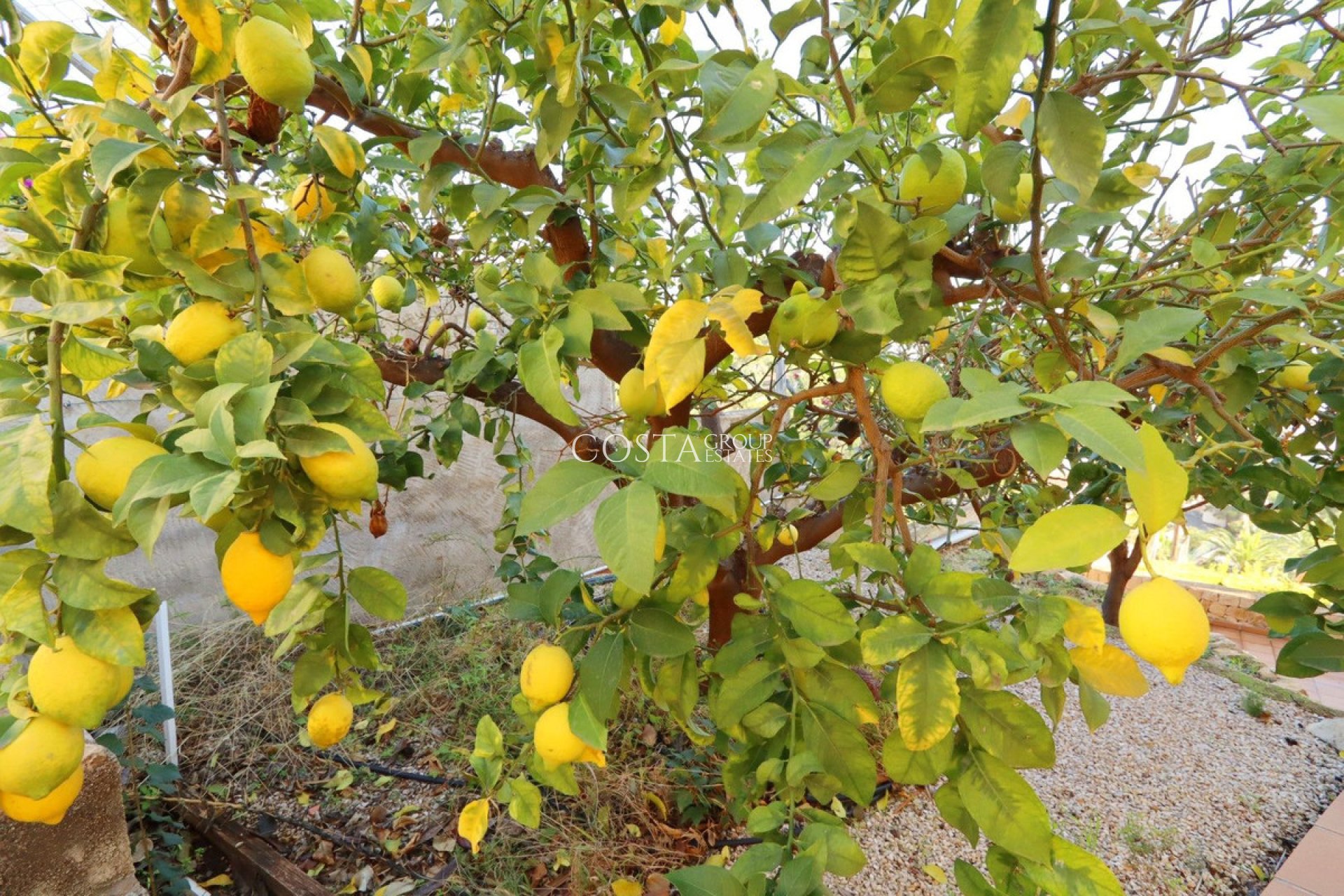 Resale - Villa -
Altea - Altea Centro