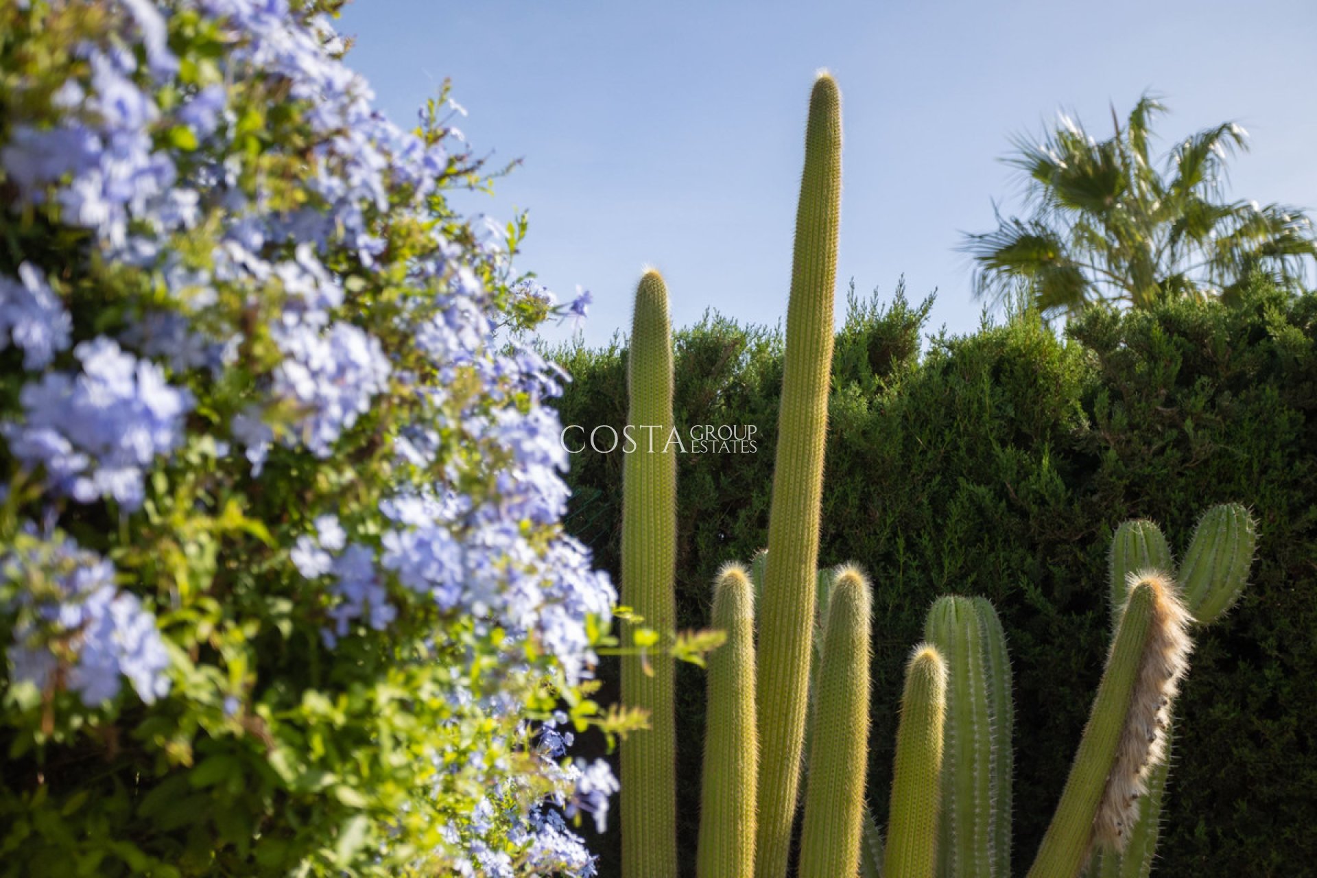 Resale - Villa -
Cartagena - Playa Honda