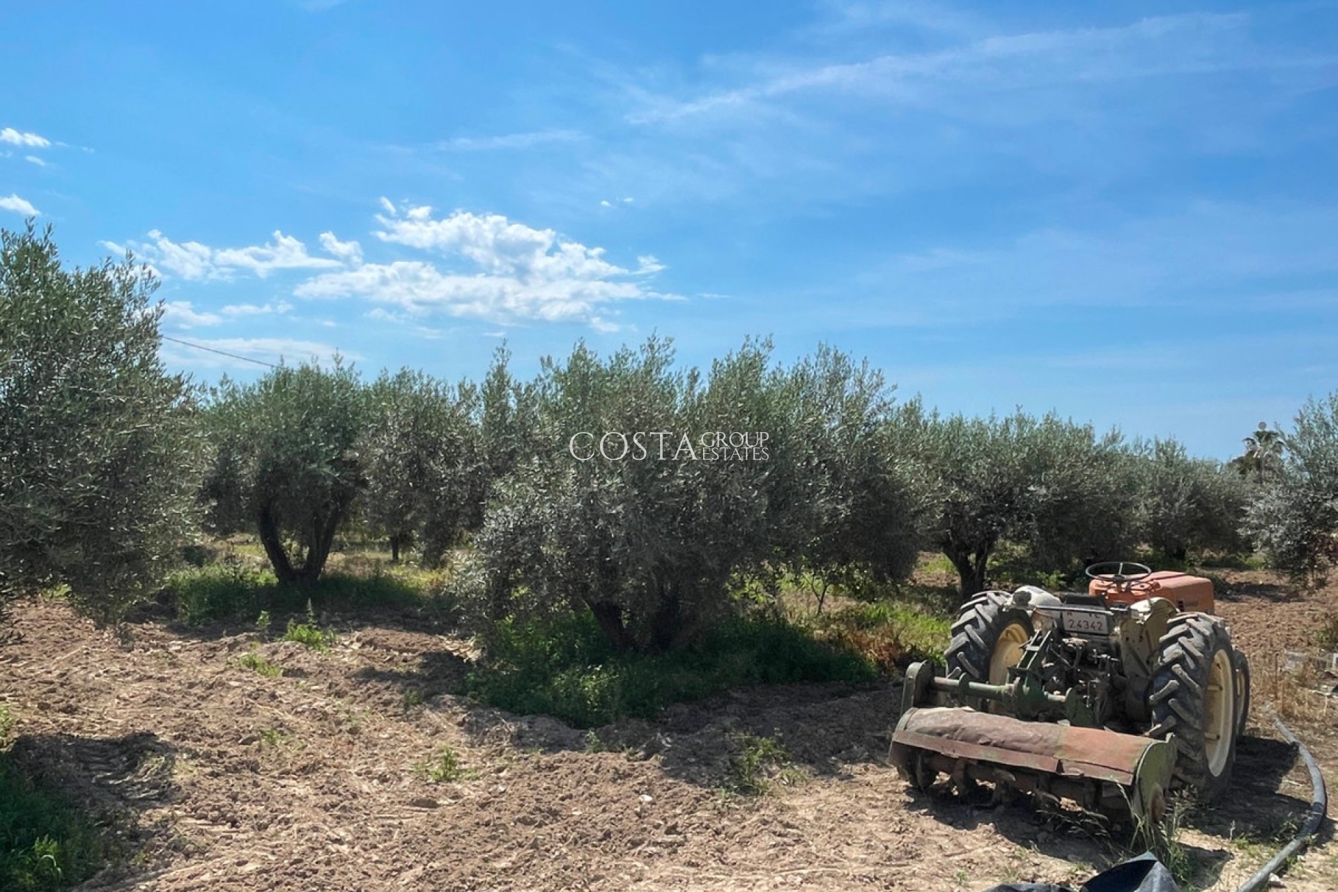 Resale - Villa -
Crevillente - Crevillent - Crevillente - Crevillent Centro