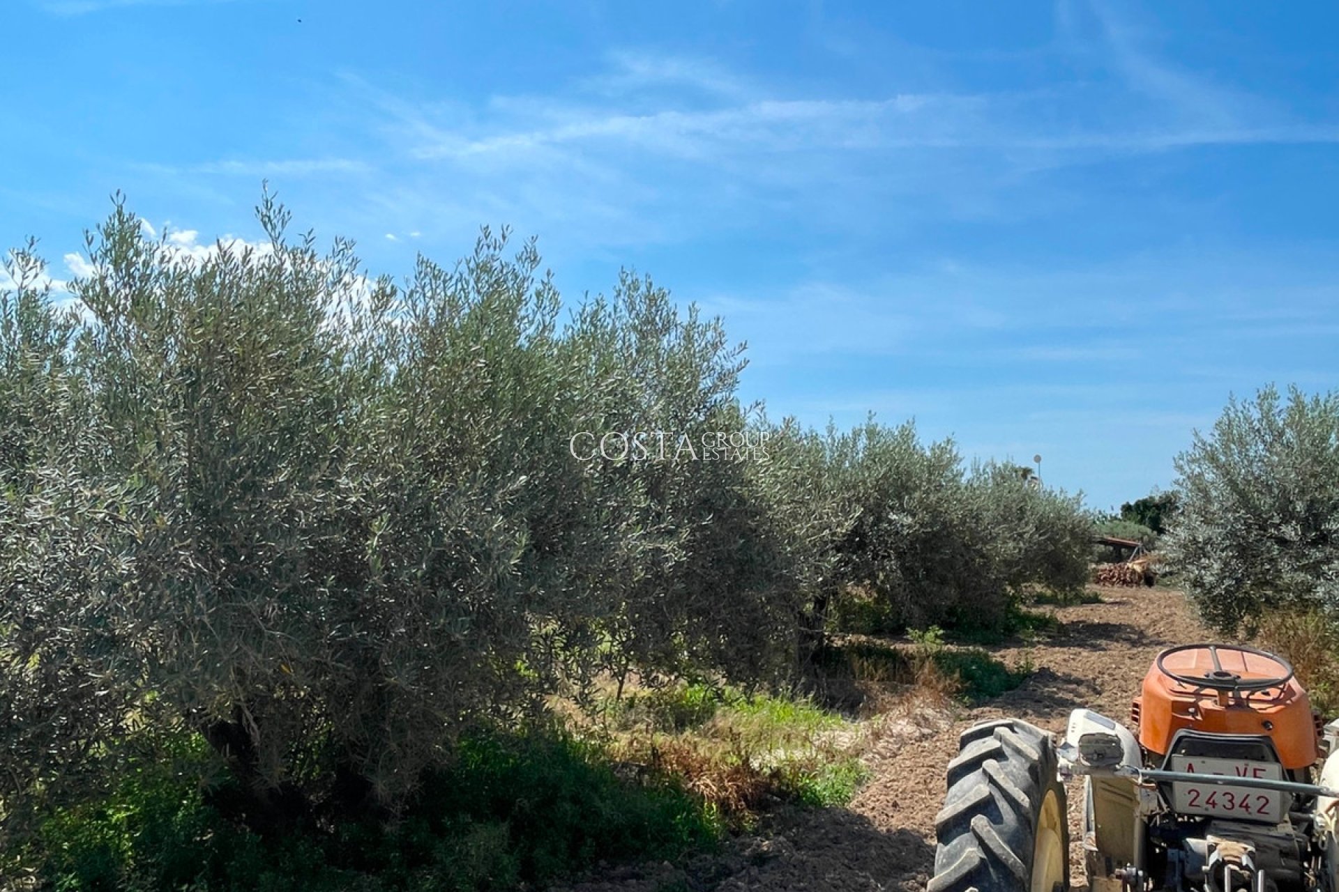 Resale - Villa -
Crevillente - Crevillent - Crevillente - Crevillent Centro