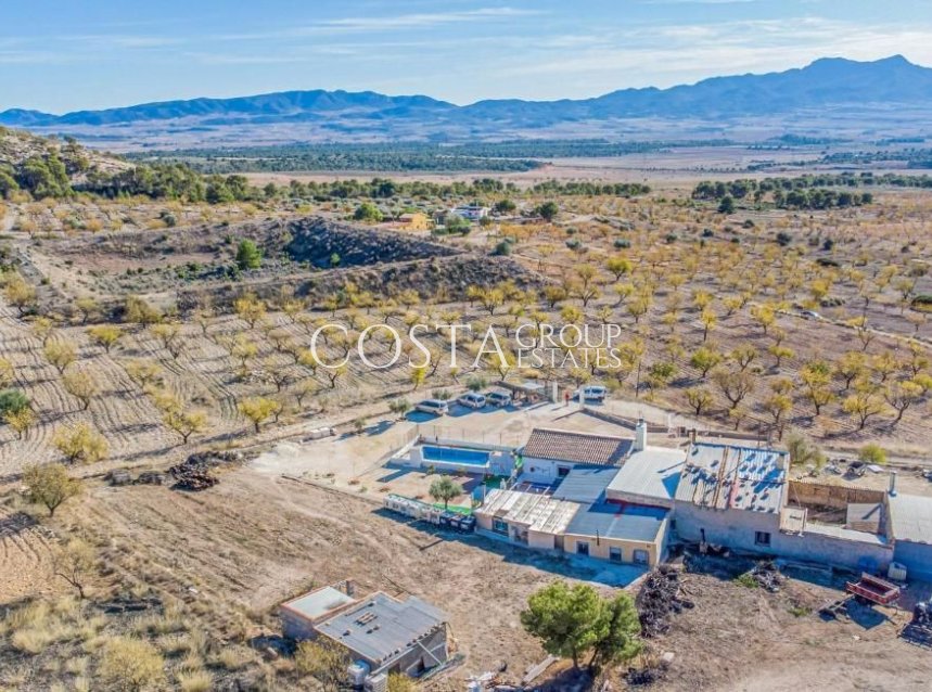 Resale - Villa -
Jumilla - Jumilla Centro