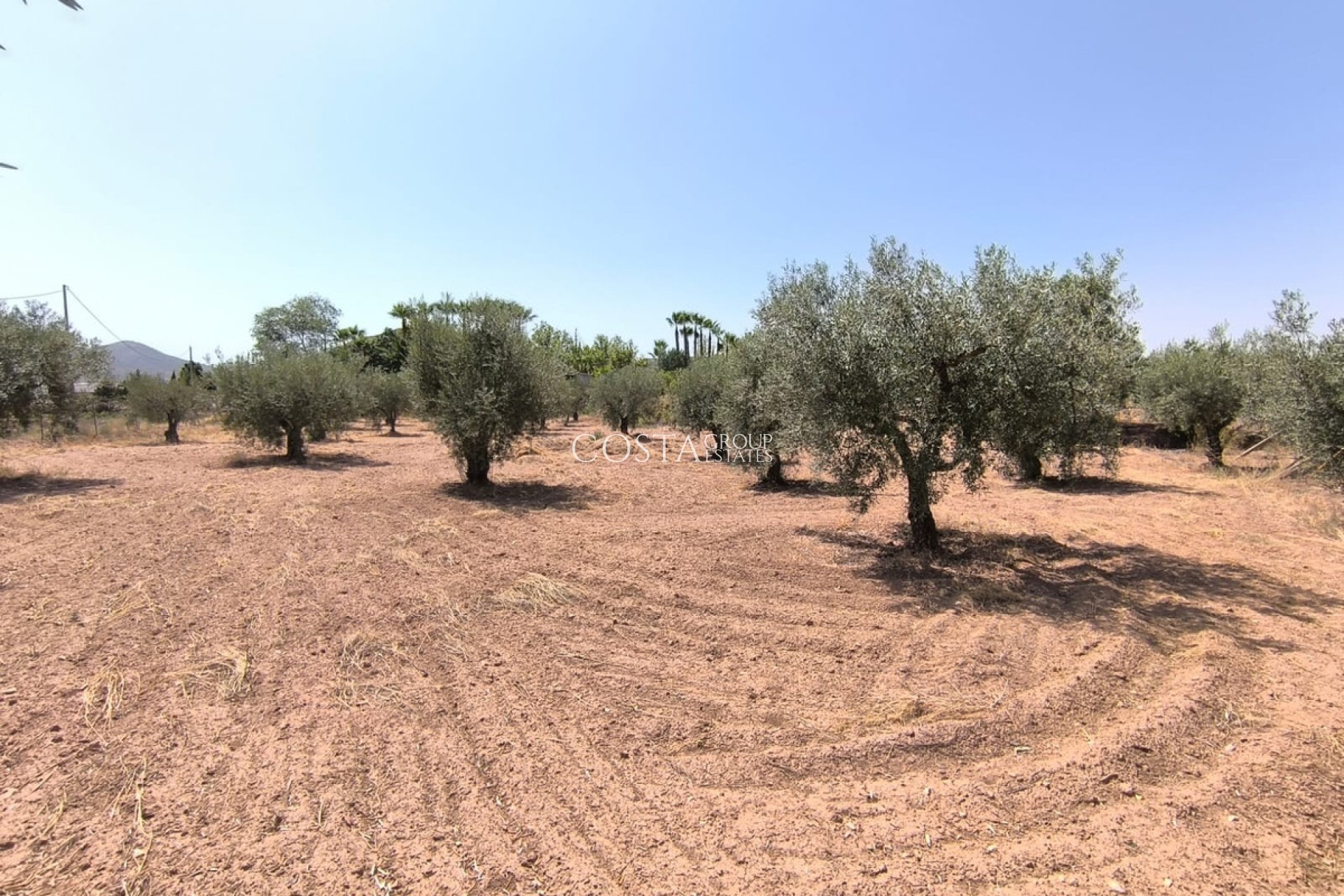 Resale - Villa -
Jumilla - Jumilla Centro