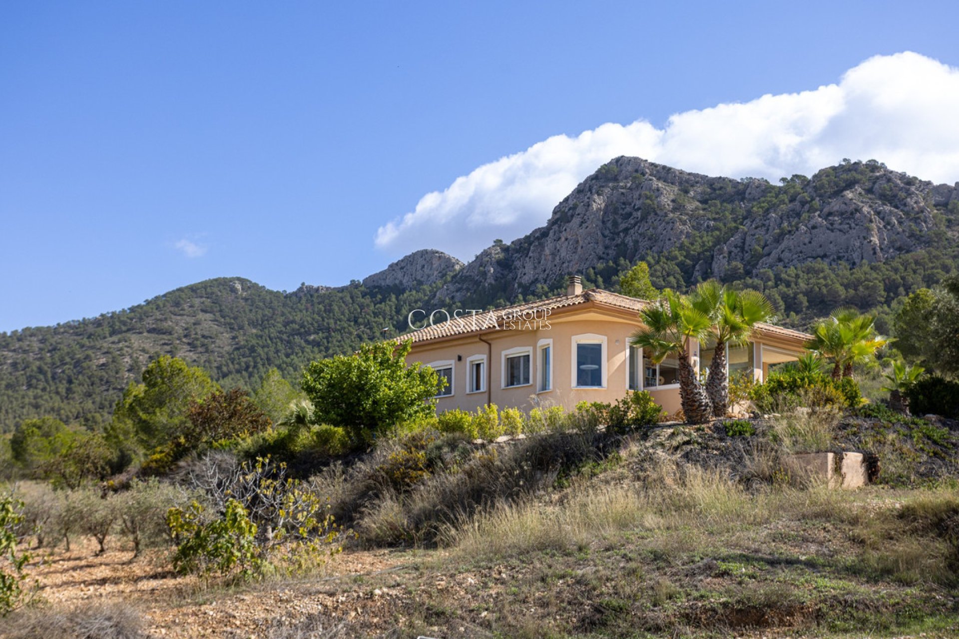Resale - Villa -
Jumilla - La Zarza