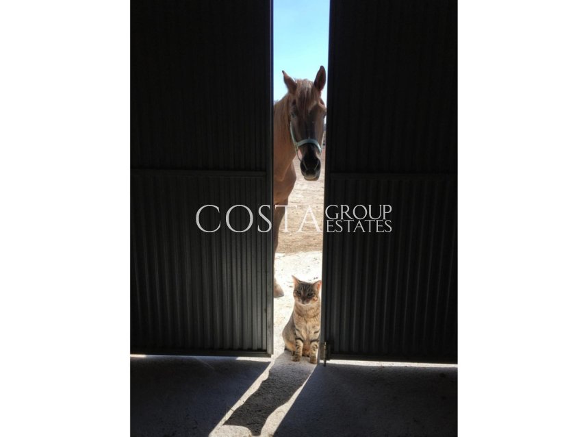 Resale - Villa -
Jumilla - Torre del Rico