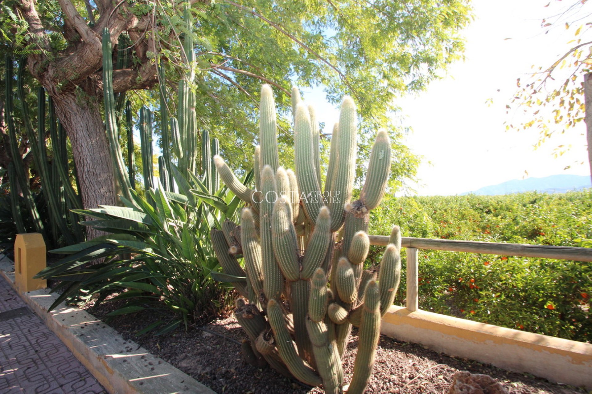 Resale - Villa -
Murcia - Murcia City