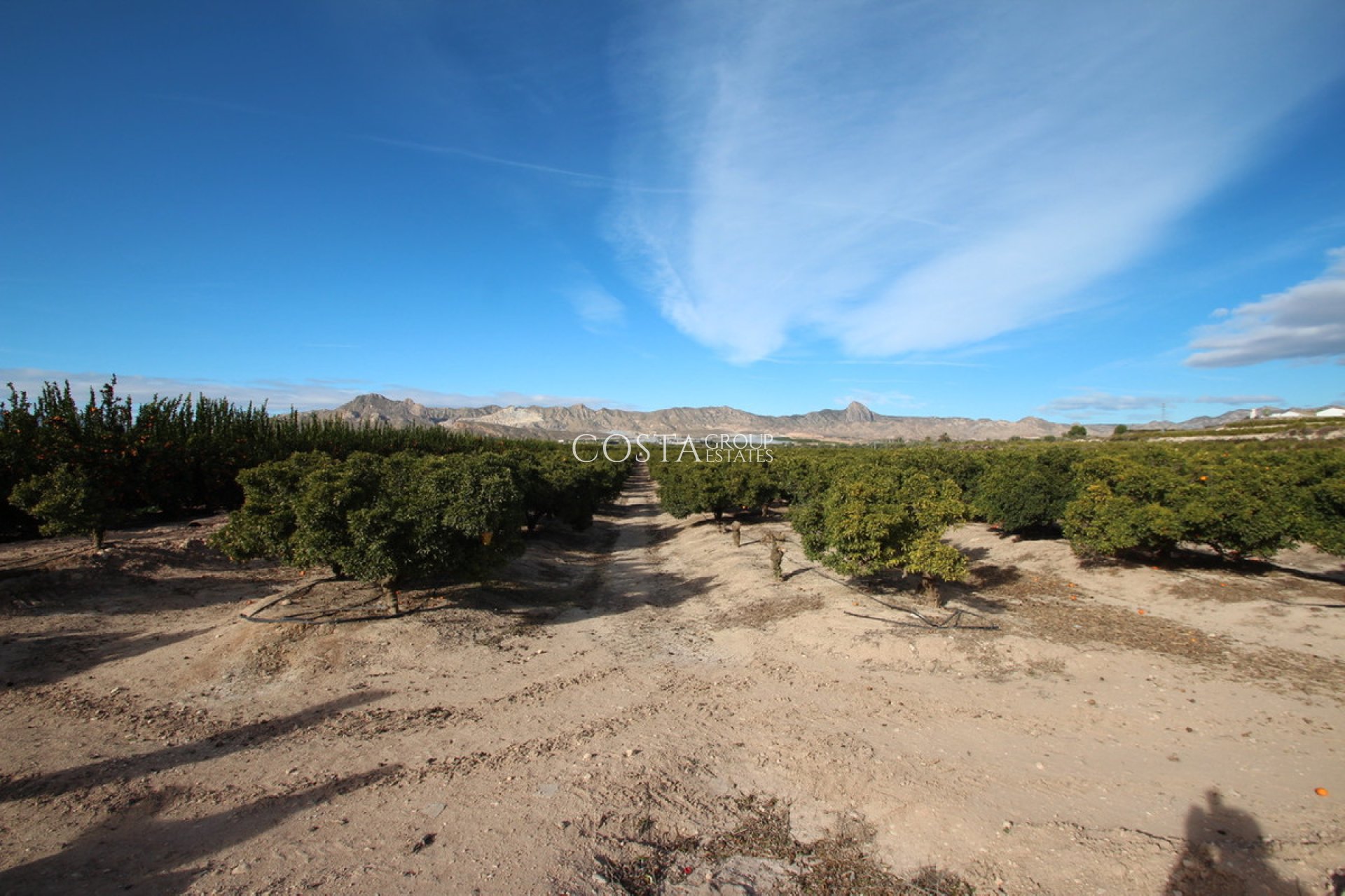 Resale - Villa -
Murcia - Murcia City