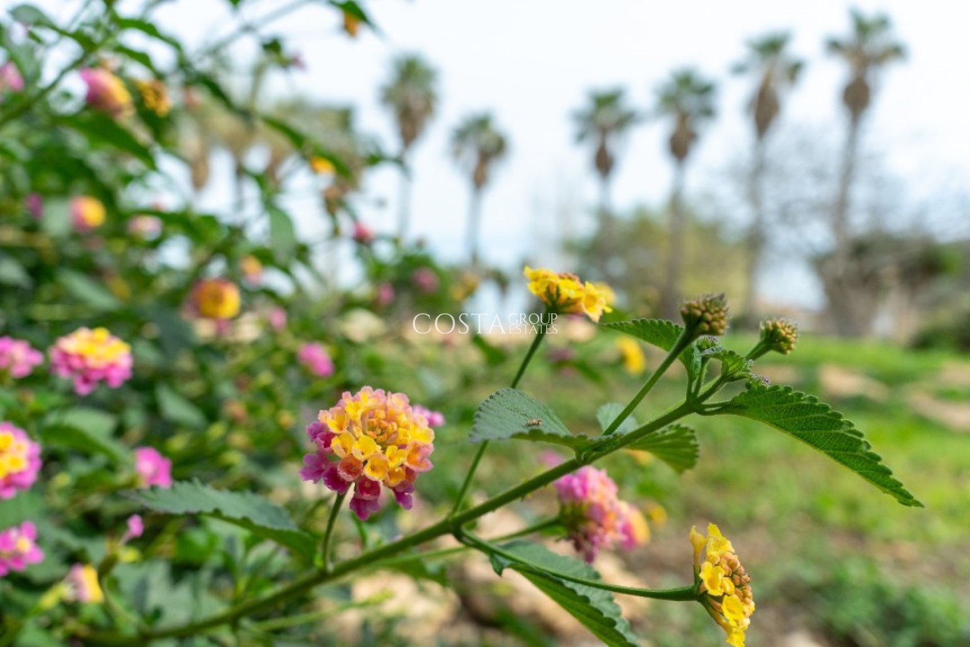 Resale - Villa -
Orihuela Costa - Los Altos