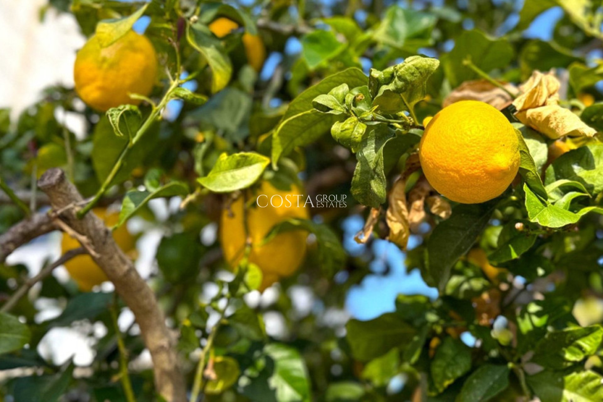 Resale - Villa -
Orihuela Costa - Villamartin