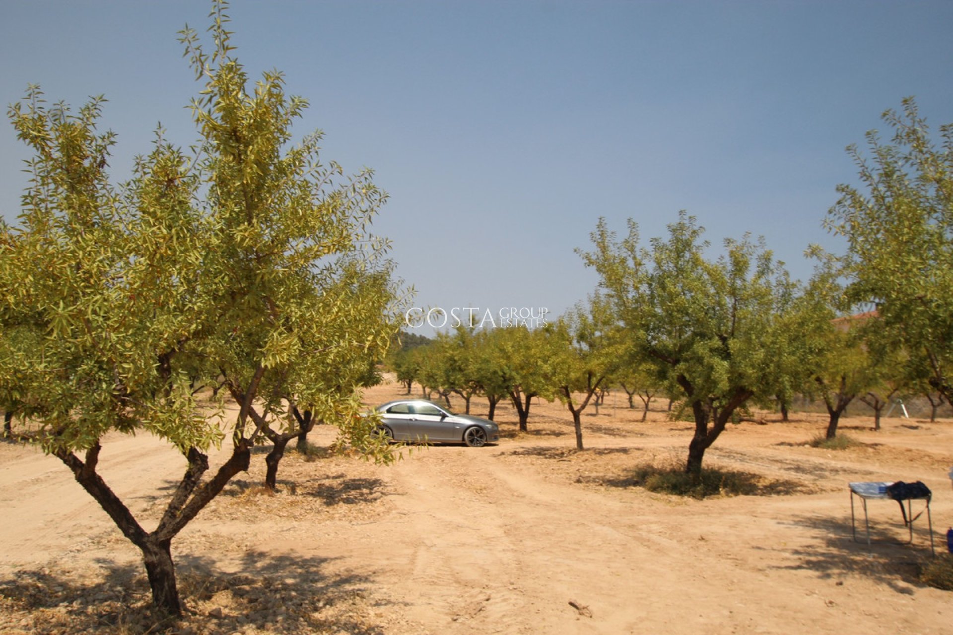 Resale - Villa -
Pinoso - Pinoso Centro