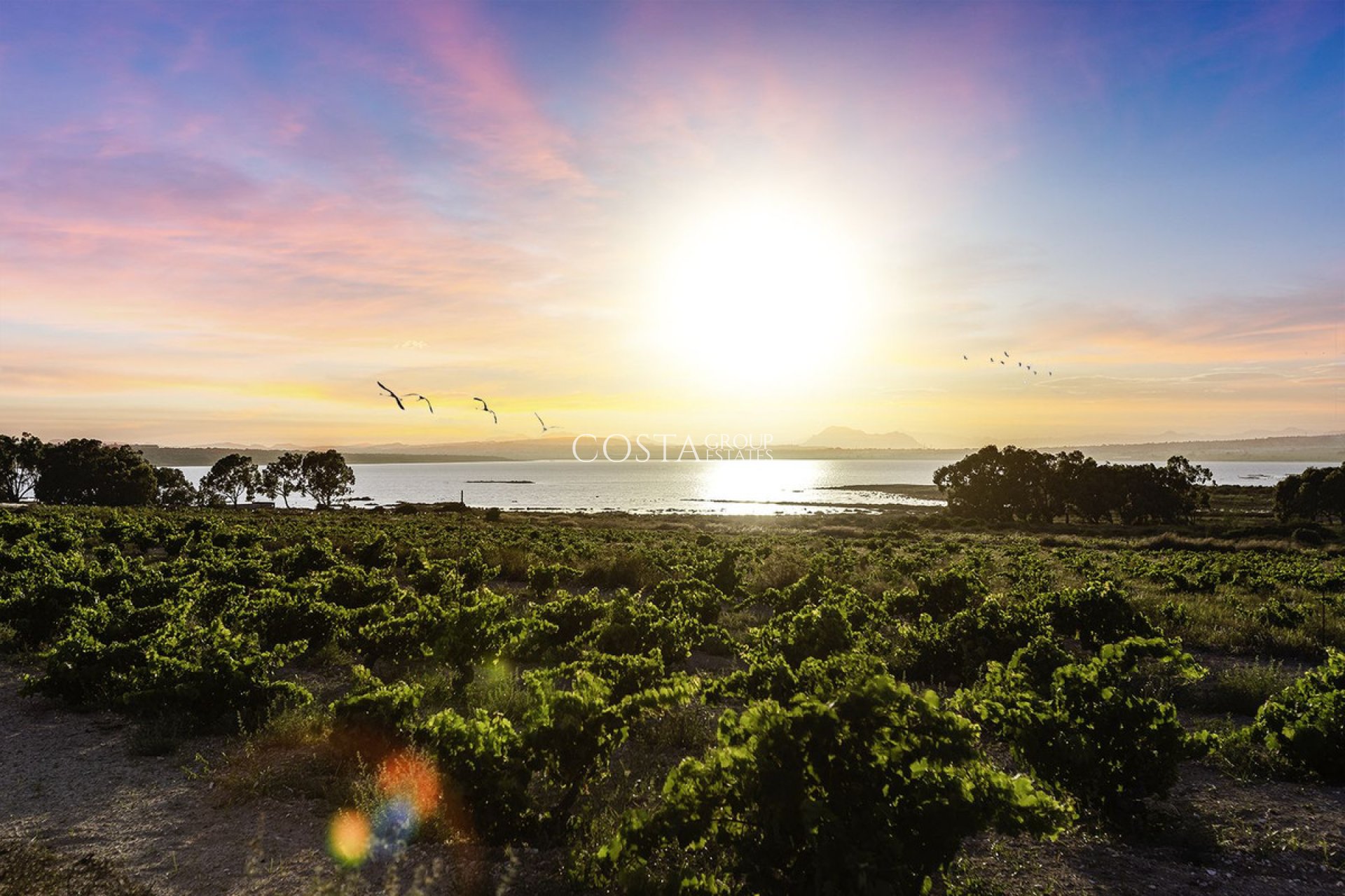 Resale - Villa -
Rojales - Ciudad Quesada