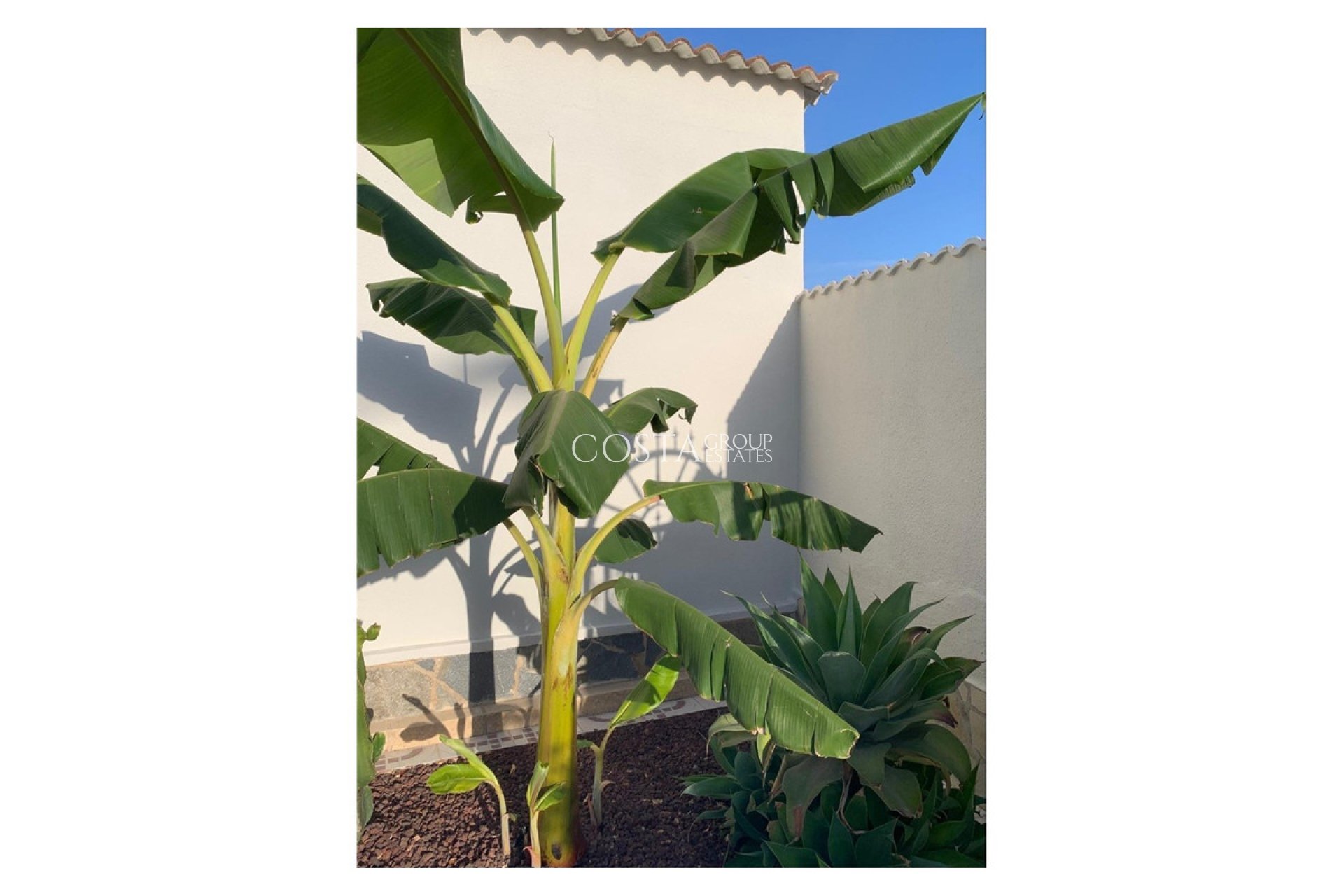 Resale - Villa -
Rojales - Ciudad Quesada