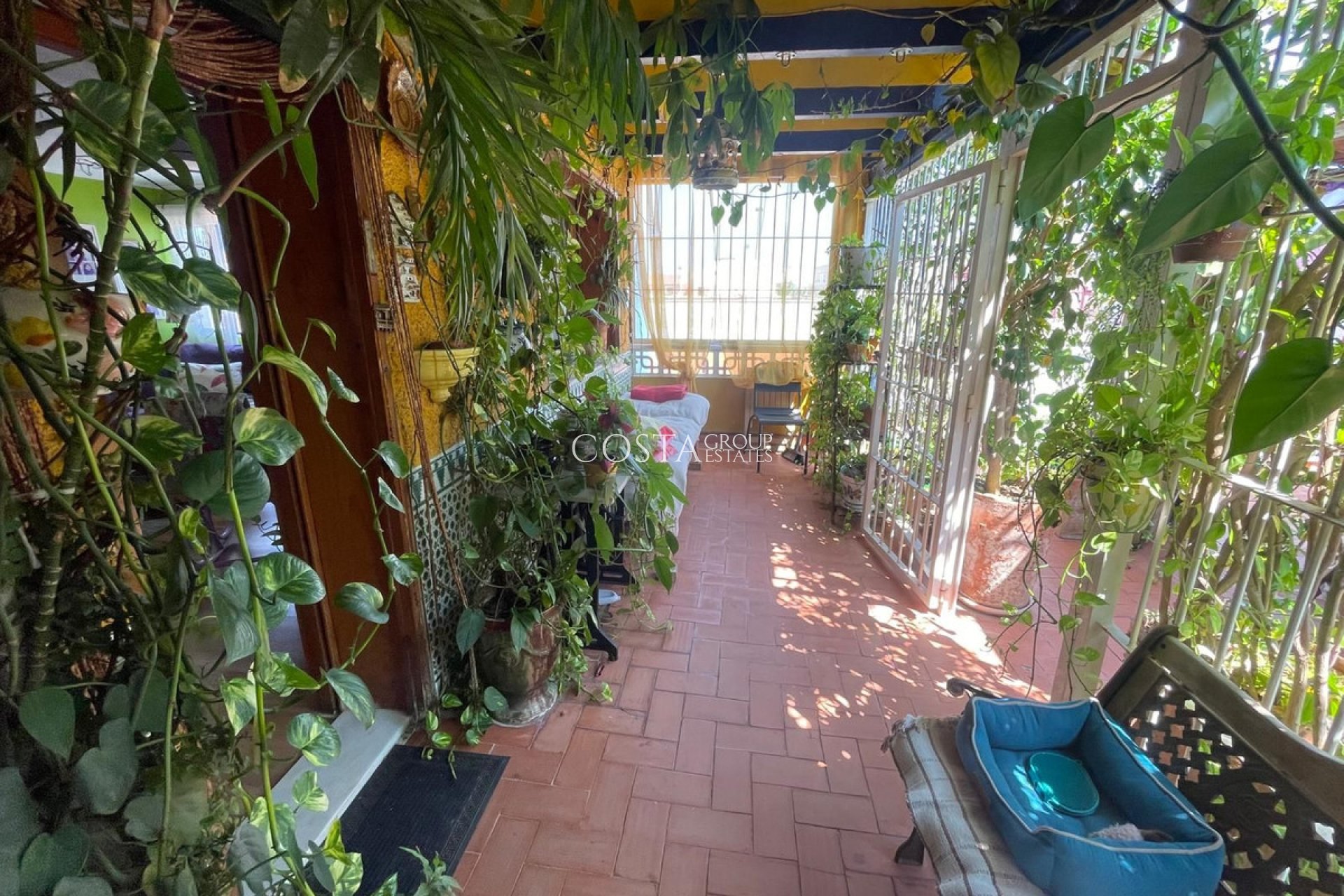 Resale - Villa -
San Fulgencio - San Fulgencio Centro