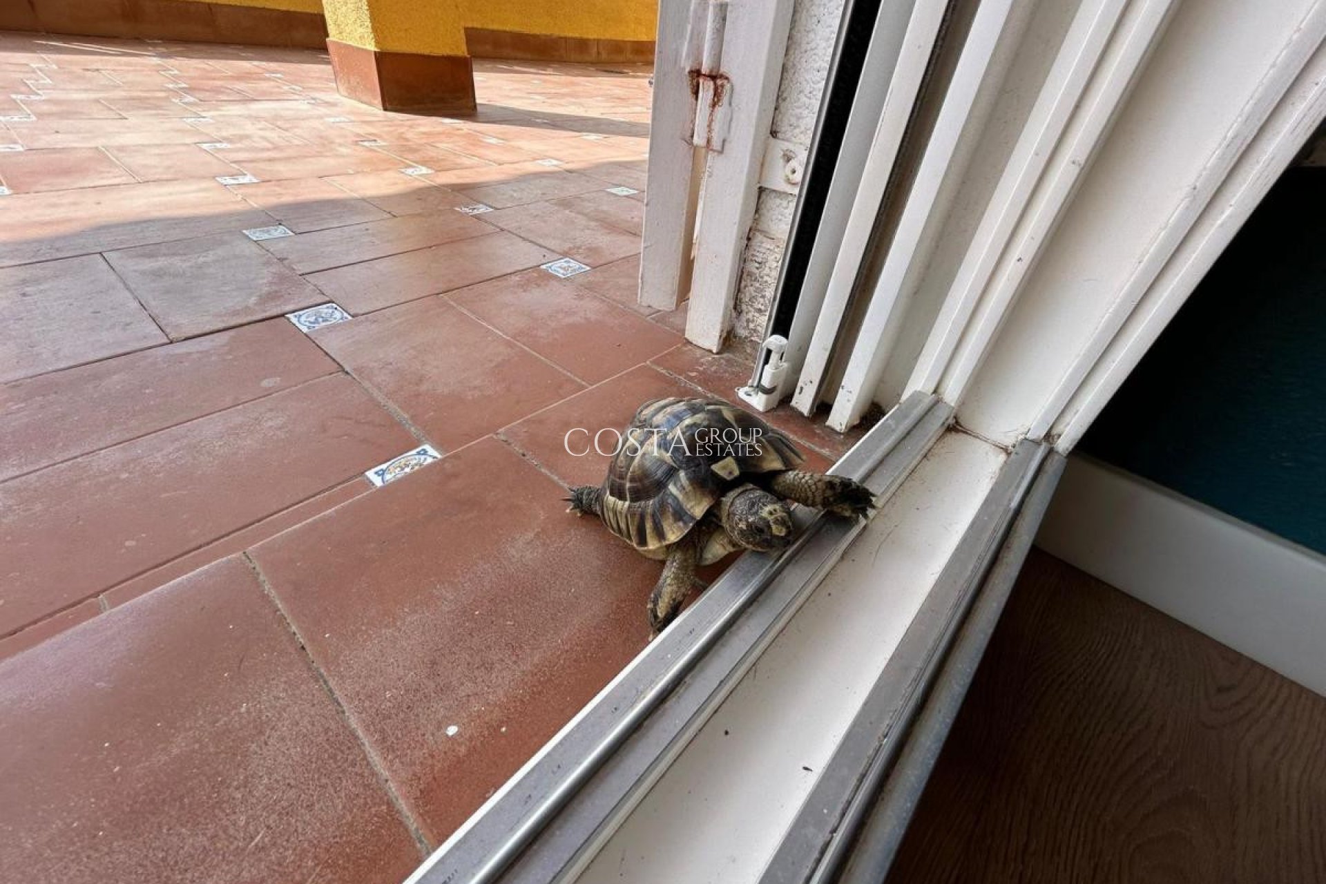 Resale - Villa -
San Miguel de Salinas - San Miguel de Salinas Centro