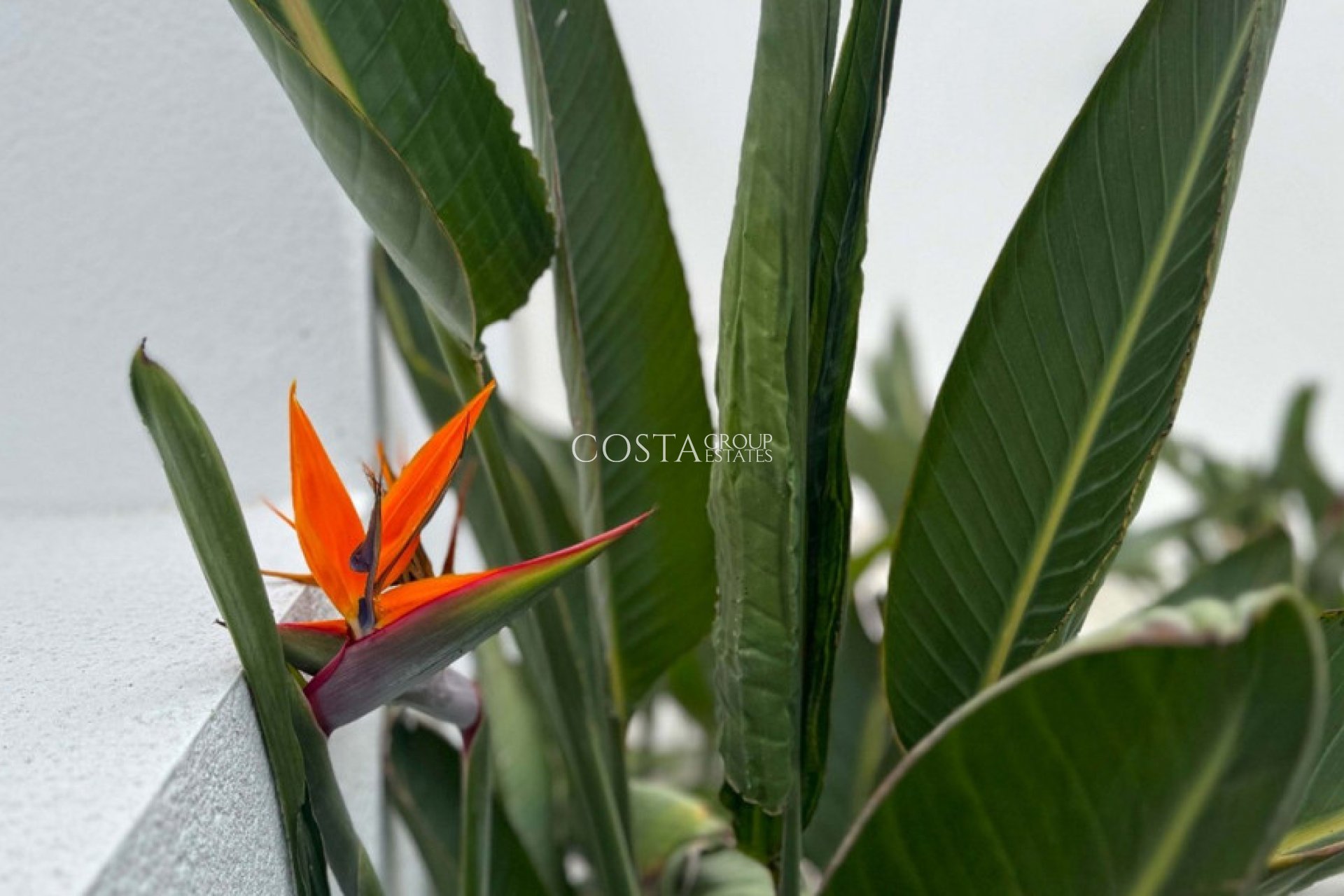 Resale - Villa -
Torrevieja