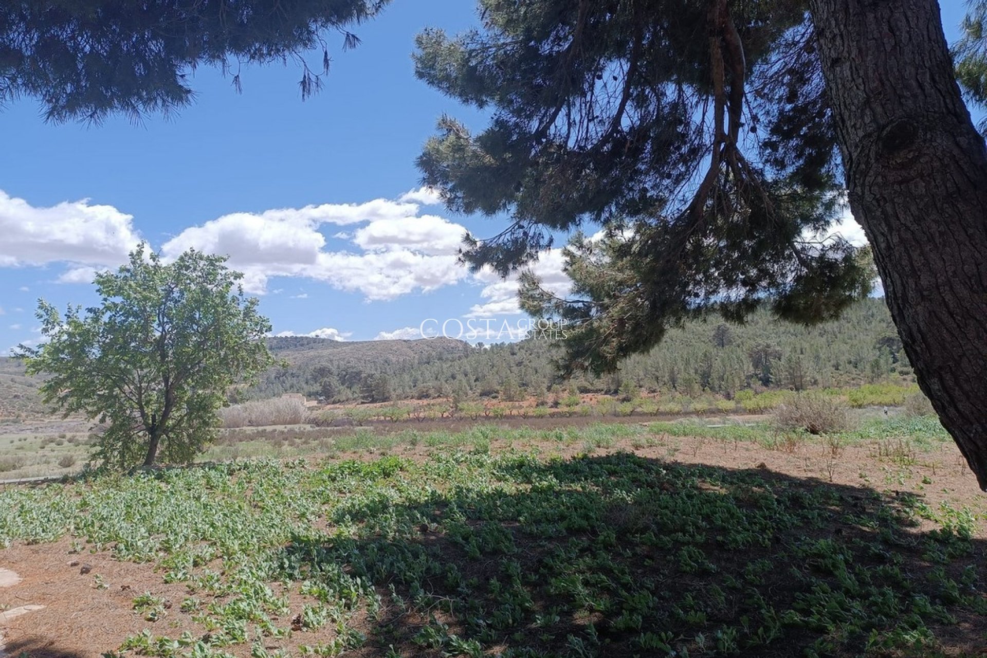 Resale - Villa -
Yecla - Yecla Centro