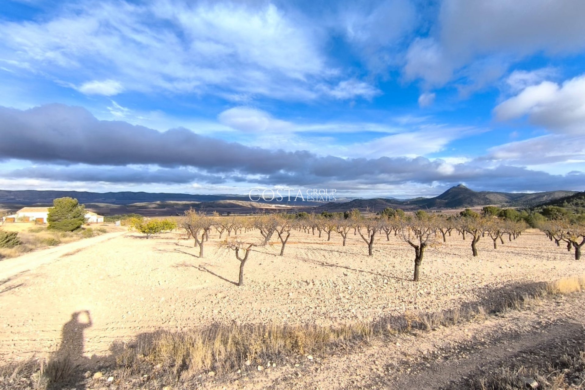 Resale - Villa -
Yecla - Yecla Centro