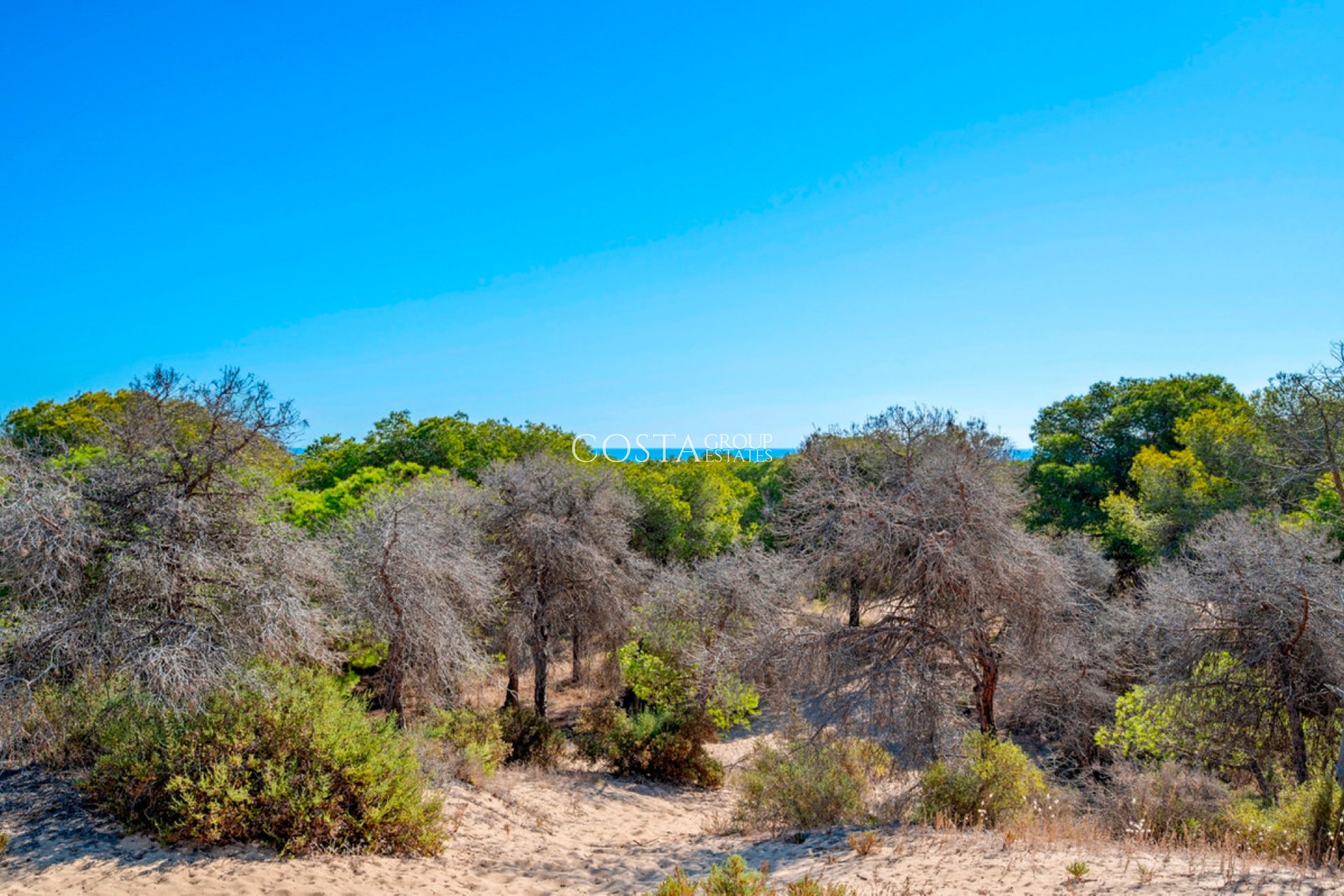 Revente - Apartments -
Guardamar del Segura - Guardamar del Segura Centro
