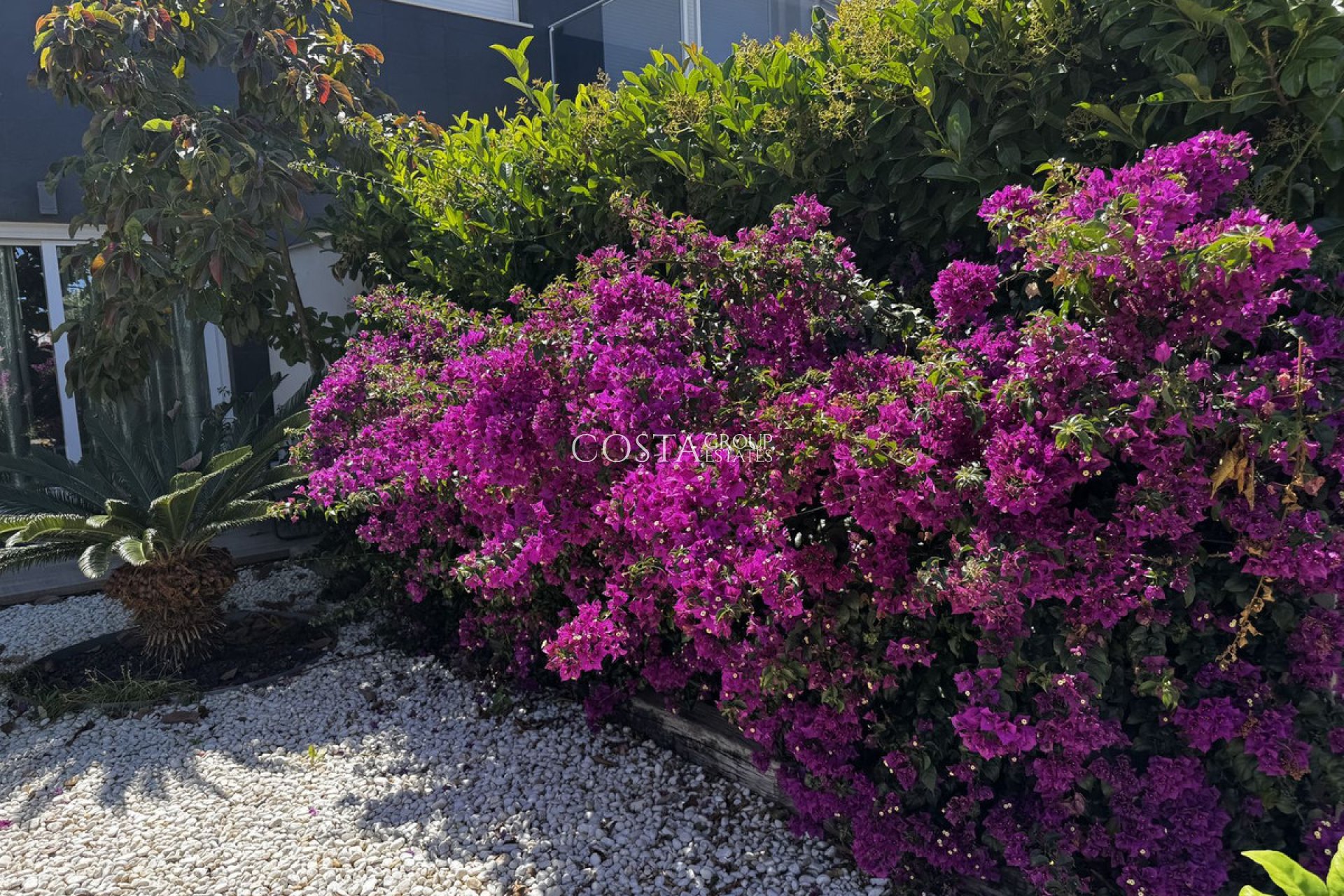 Revente - Apartments -
Torrevieja