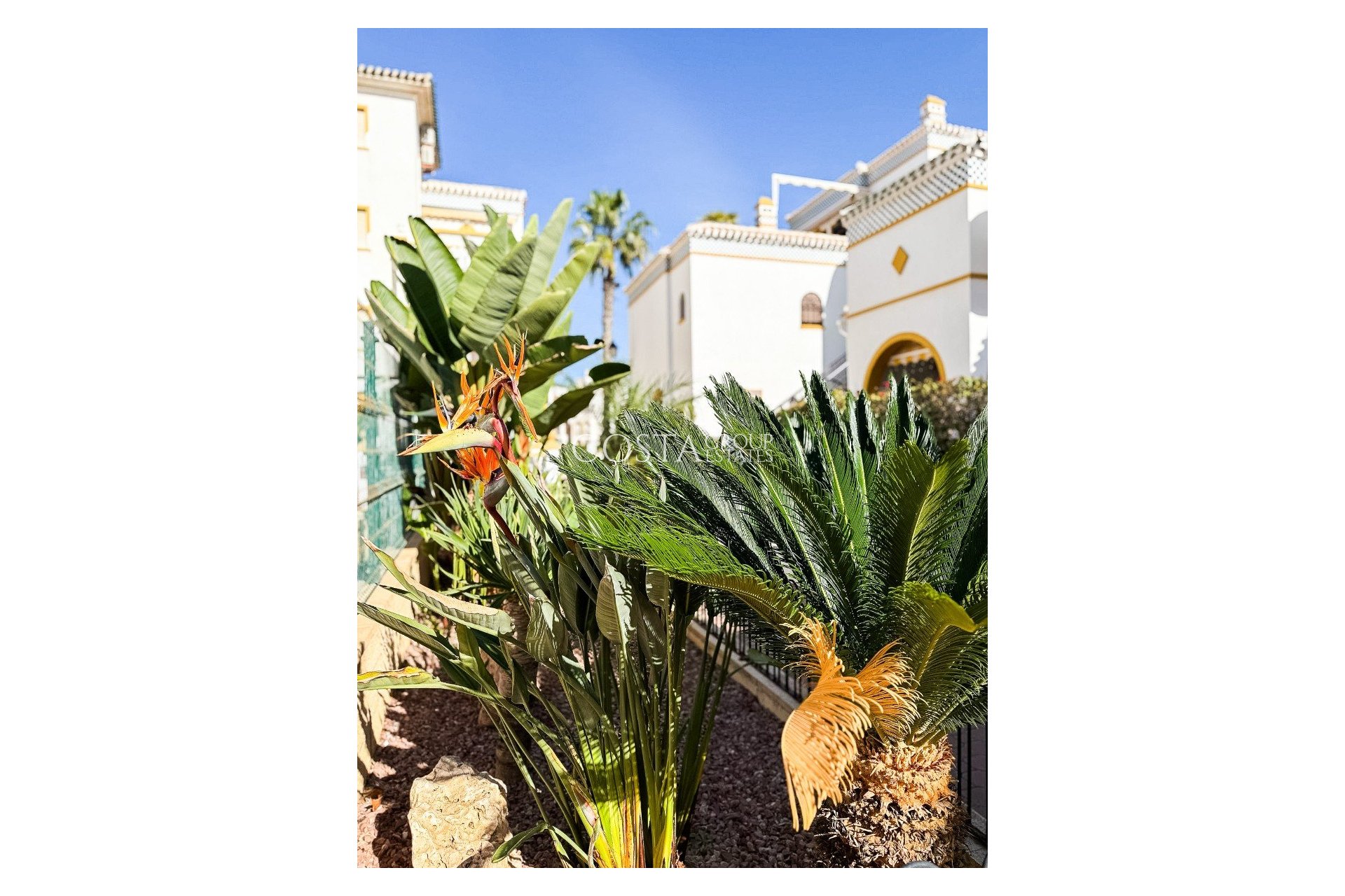 Revente - Appartement -
Torrevieja - Torrelamata - La Mata