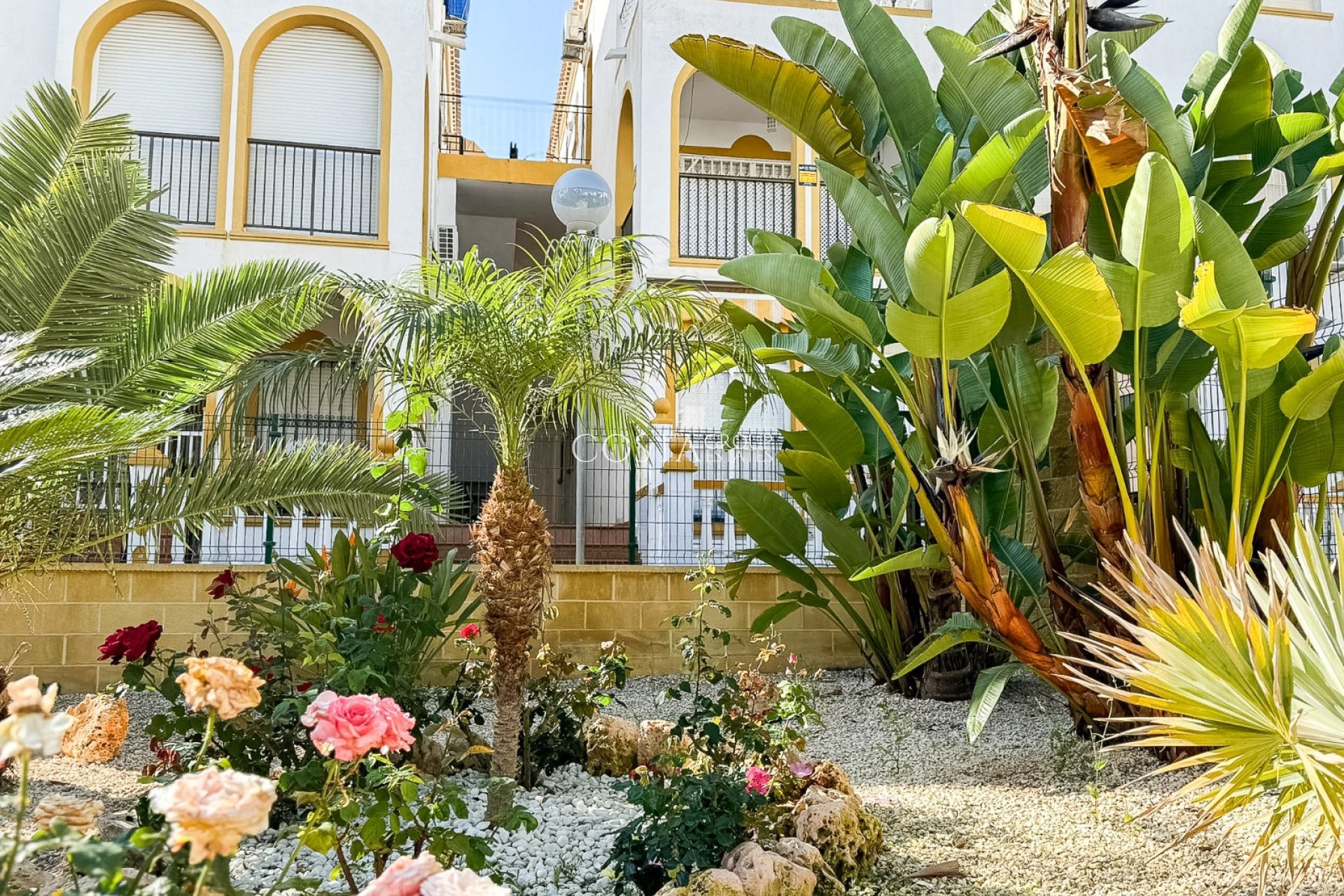 Revente - Appartement -
Torrevieja - Torrelamata - La Mata