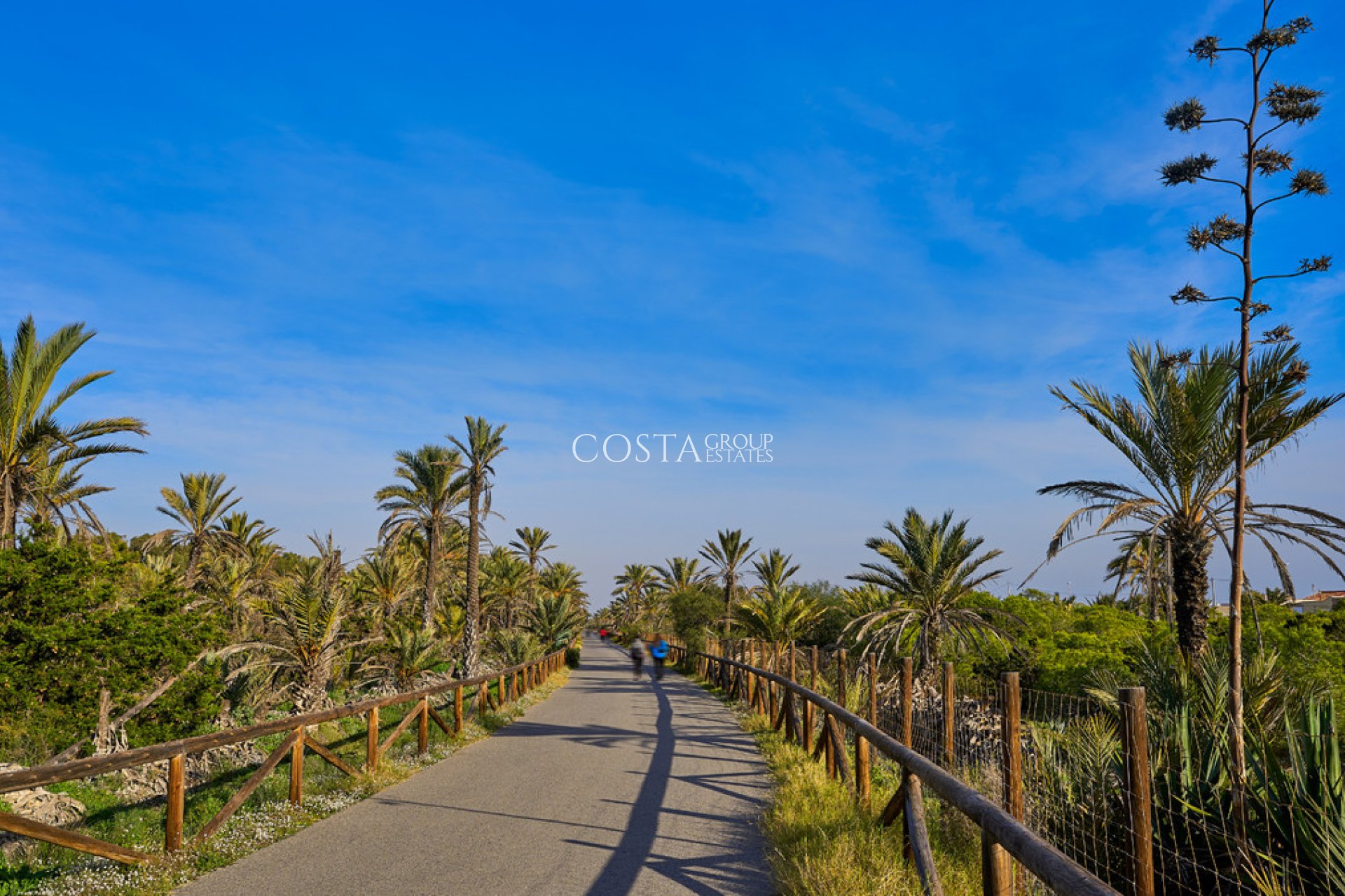 Revente - Maison -
Guardamar del Segura - Guardamar del Segura Centro