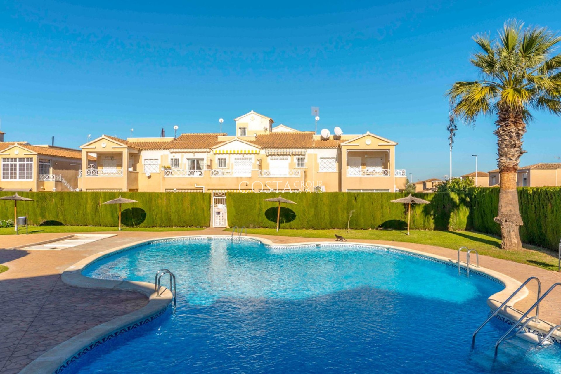 Revente - Maison -
Torrevieja - Torrevieja Centro