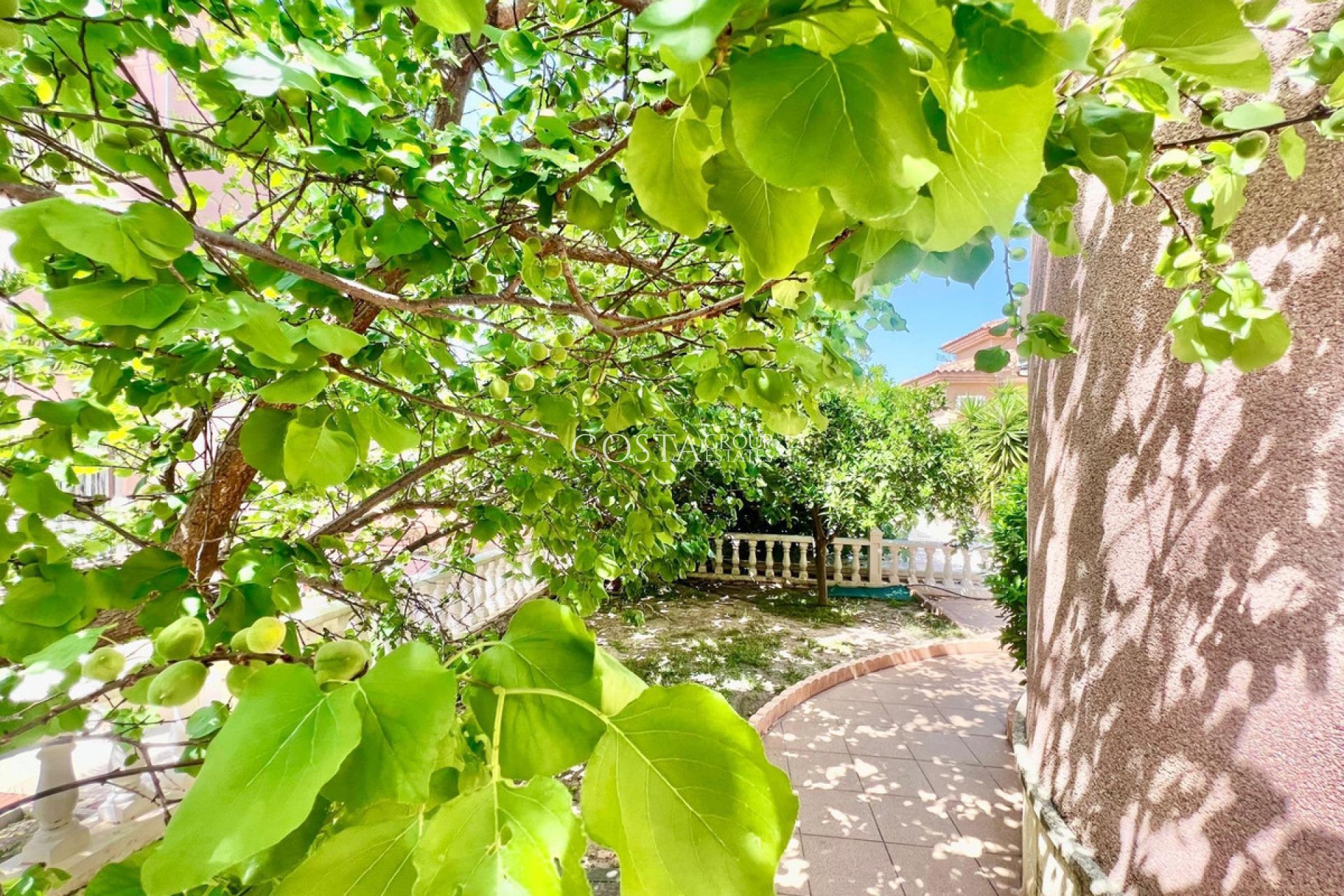 Revente - Maison -
Torrevieja - Torrevieja Centro