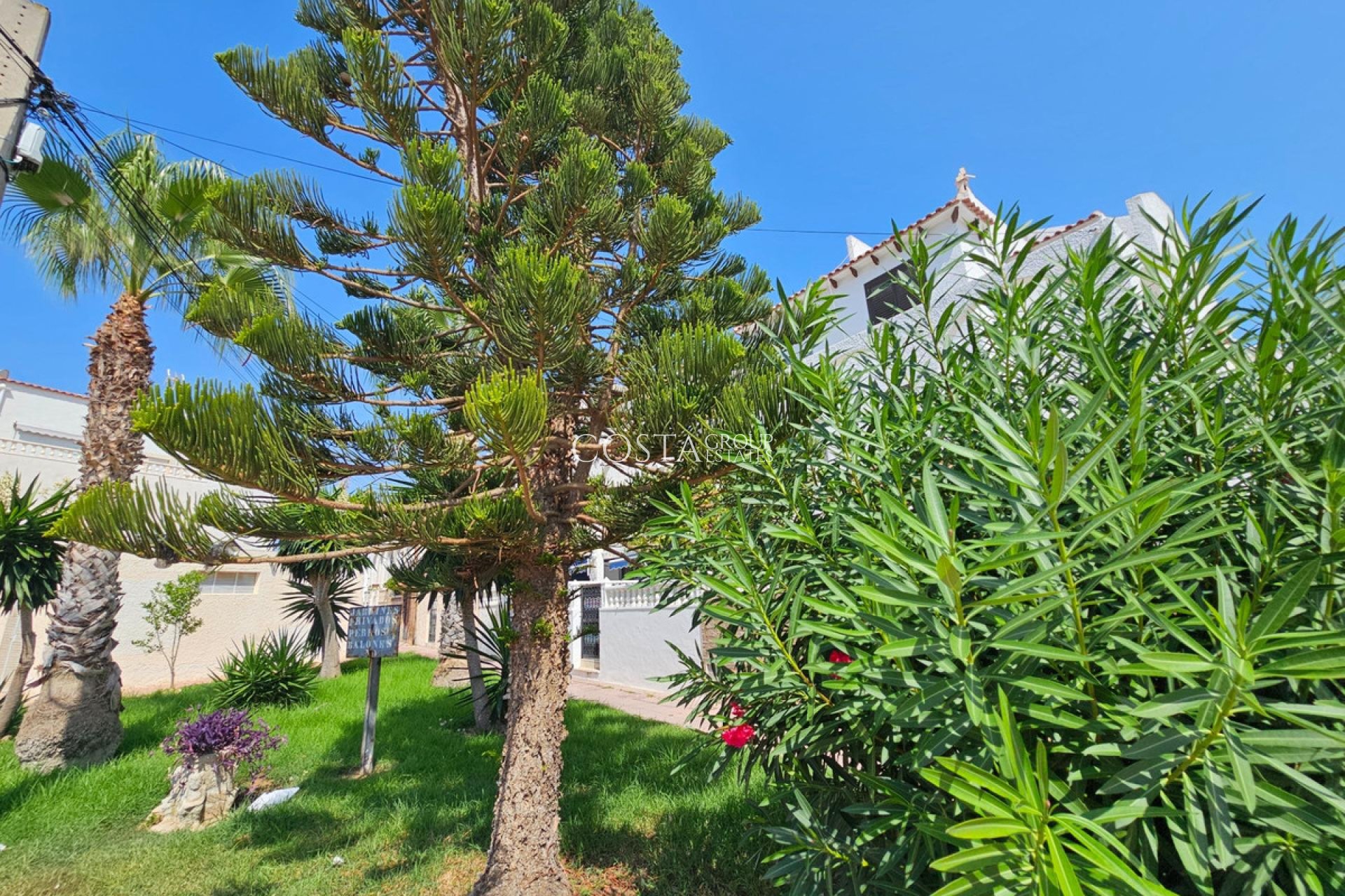 Revente - Maison -
Torrevieja