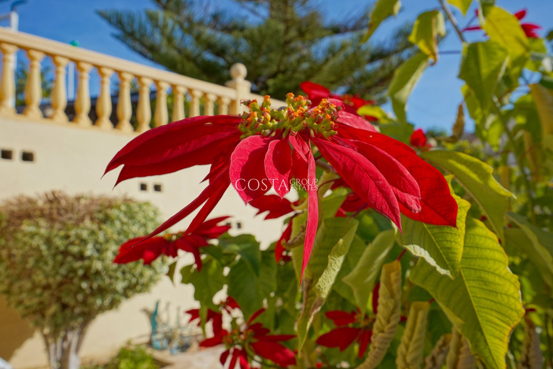 Revente - Villa -
Benissa - Benissa Centro
