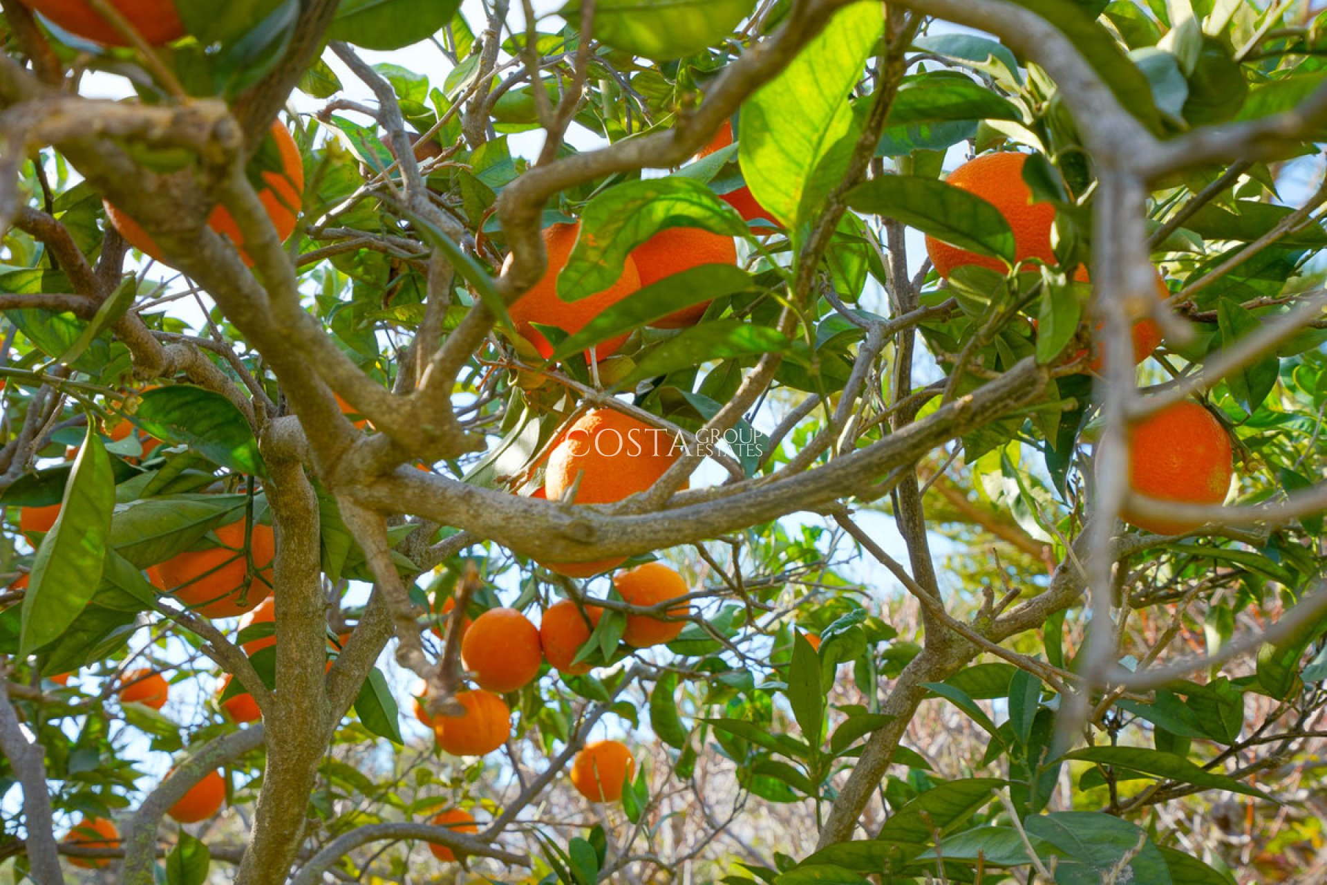 Revente - Villa -
Benissa - Benissa Centro