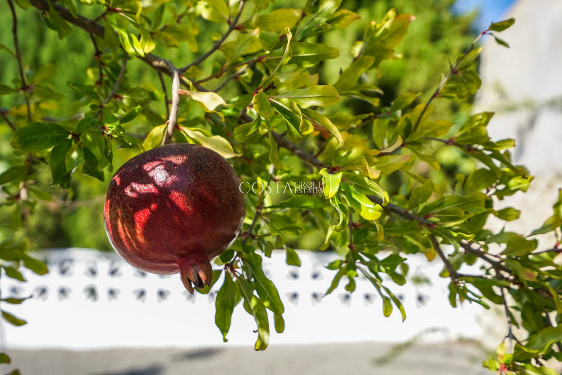 Revente - Villa -
Benissa - Benissa Centro