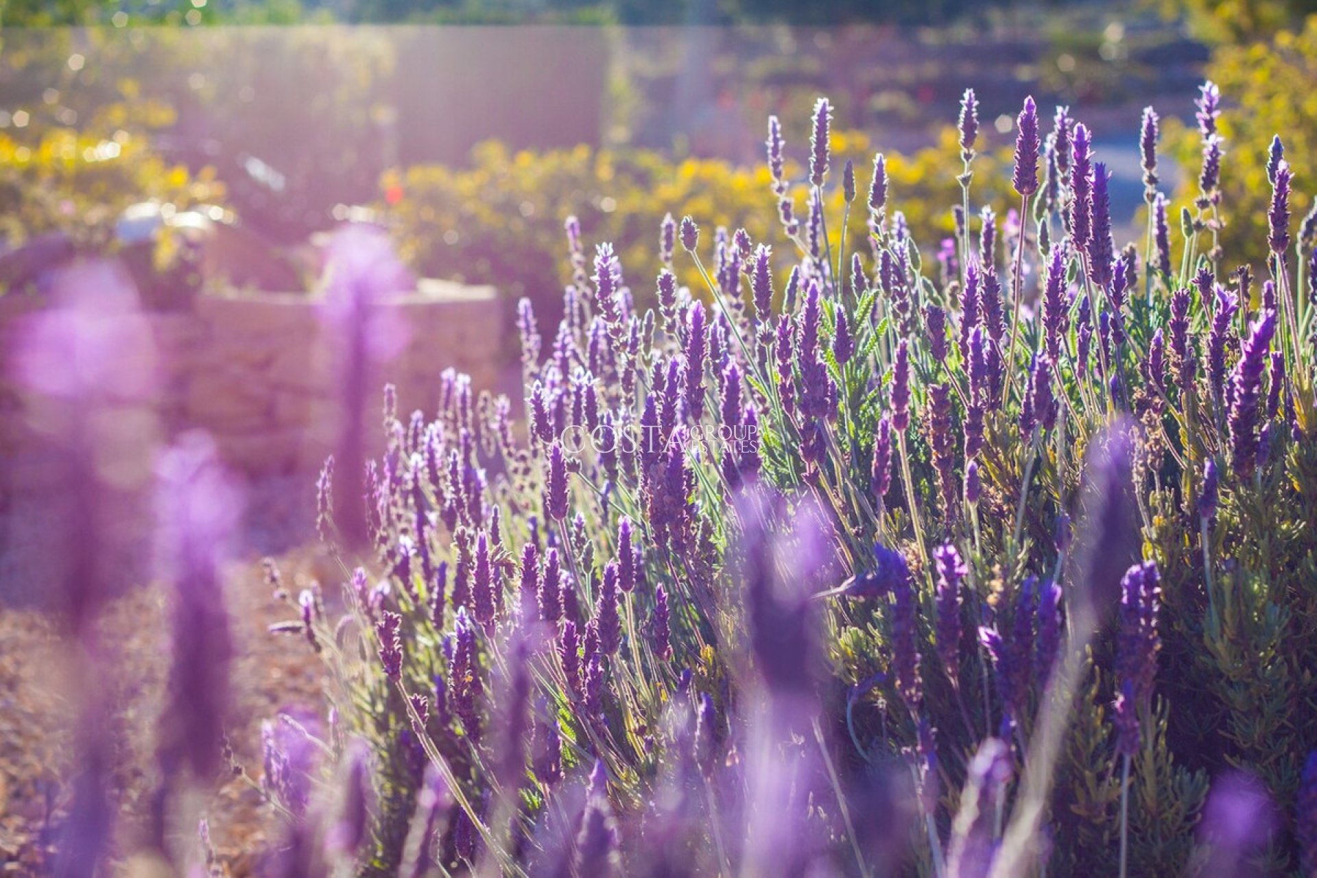 Revente - Villa -
Benissa - Benissa Centro