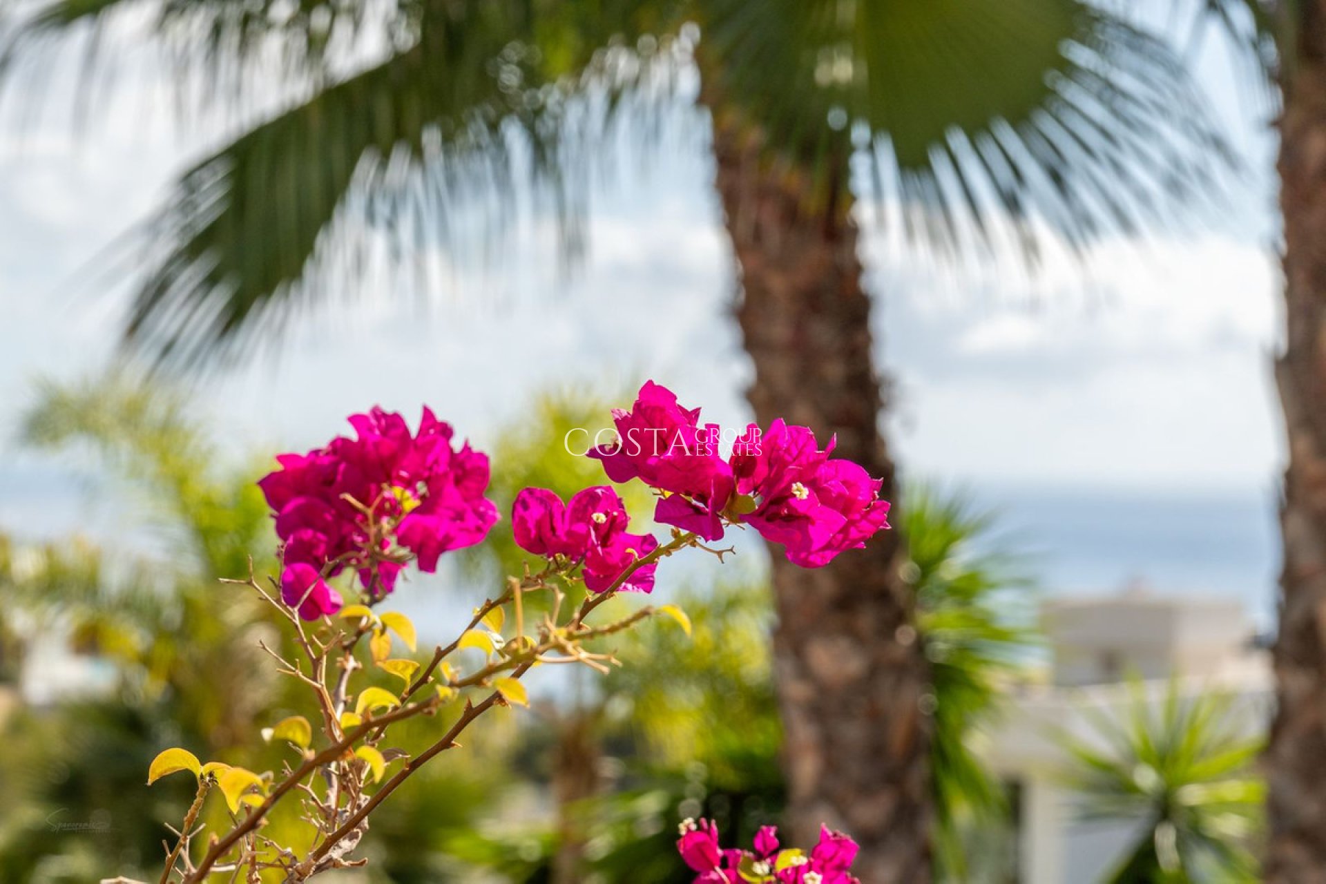 Revente - Villa -
Benissa - Benissa Coast