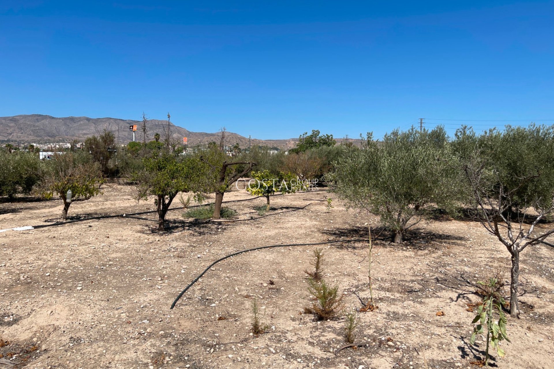 Revente - Villa -
Crevillente - Crevillent - Crevillente - Crevillent Centro