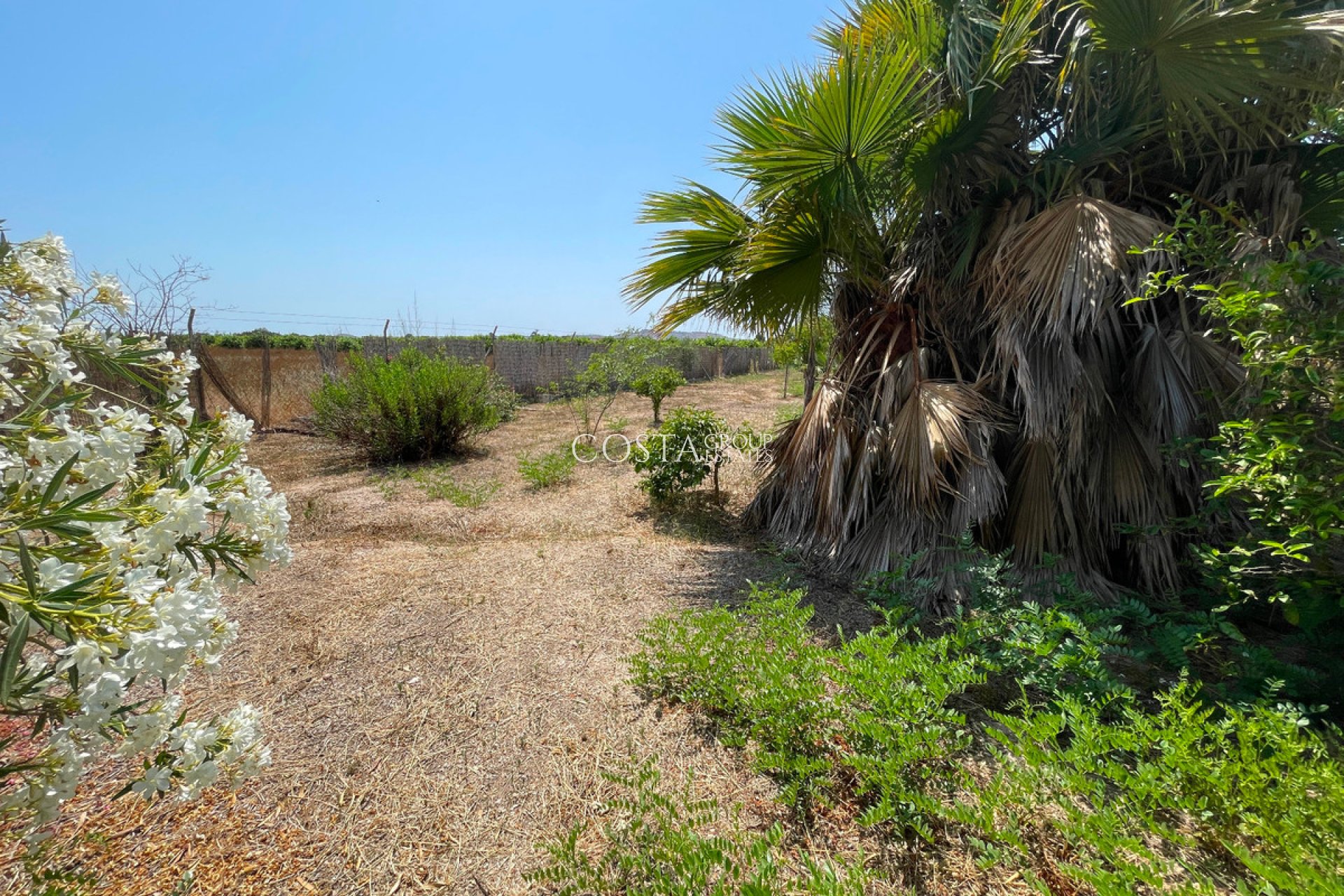 Revente - Villa -
Daya Nueva - Daya Nueva Centro