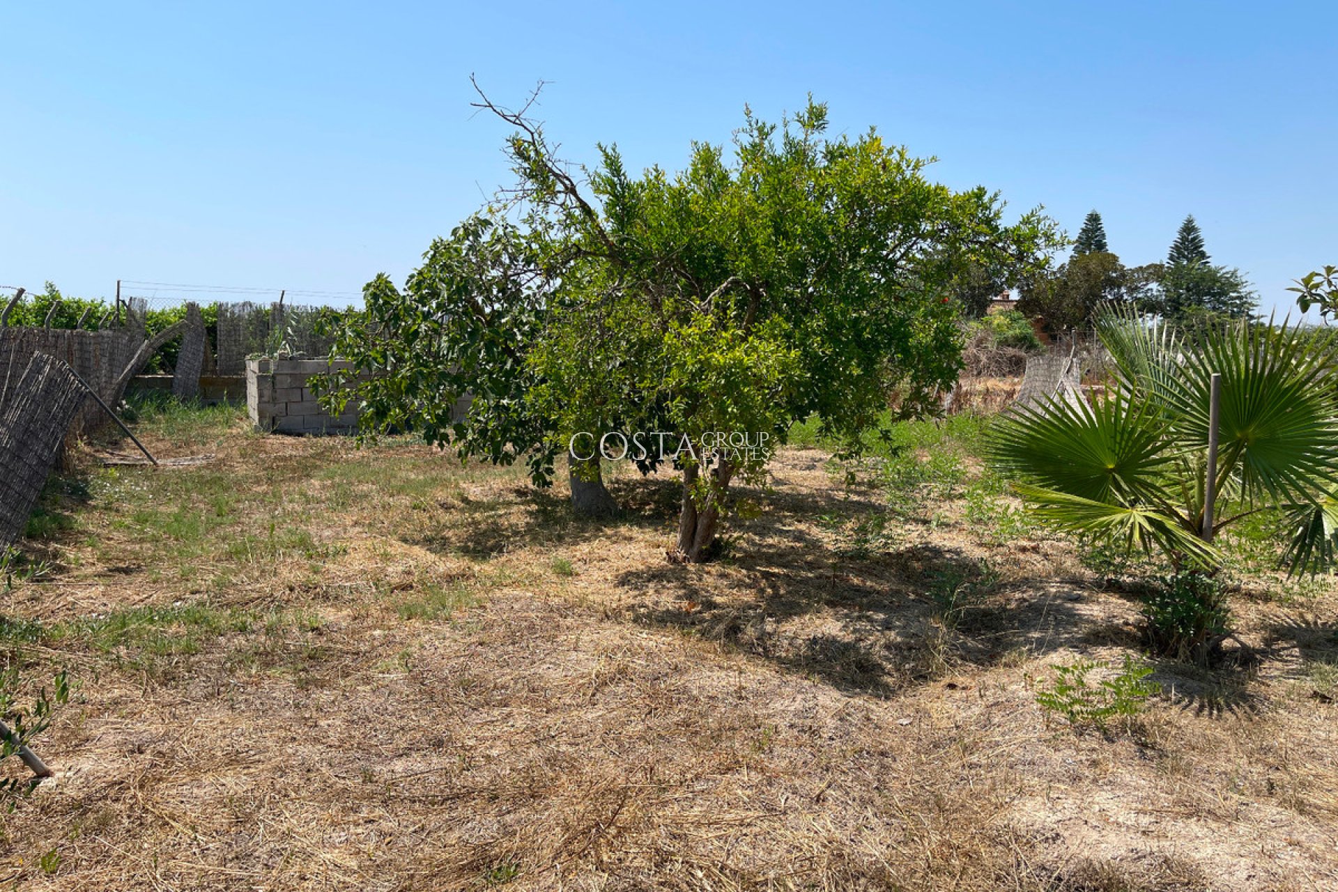 Revente - Villa -
Daya Nueva - Daya Nueva Centro