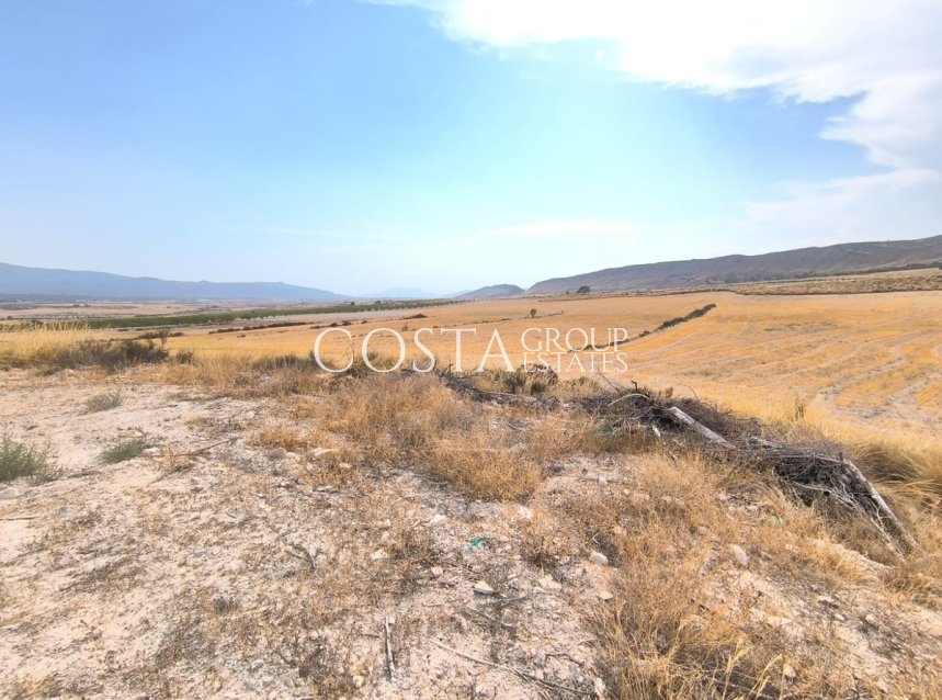 Revente - Villa -
Jumilla - Jumilla Centro