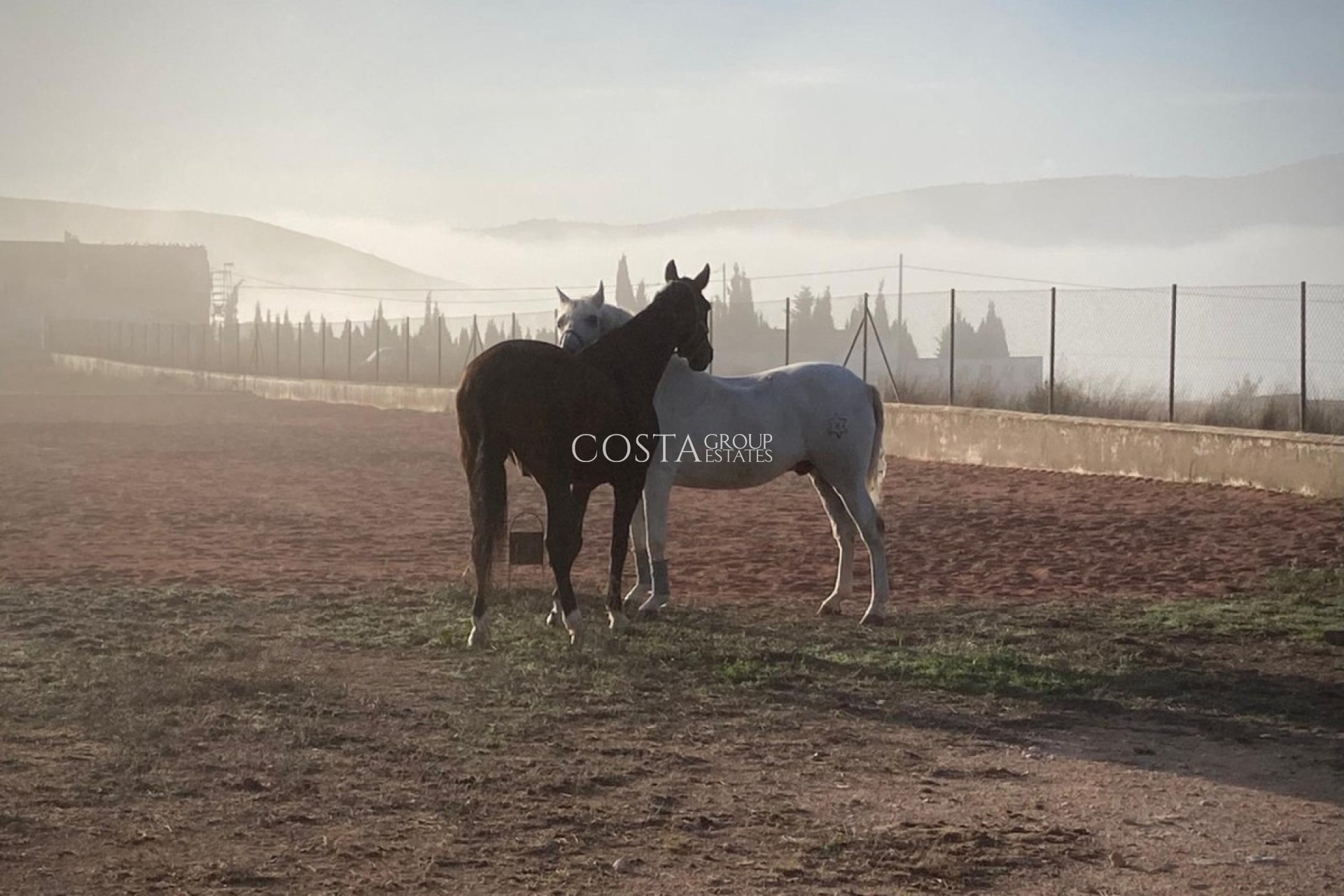 Revente - Villa -
Jumilla - Torre del Rico