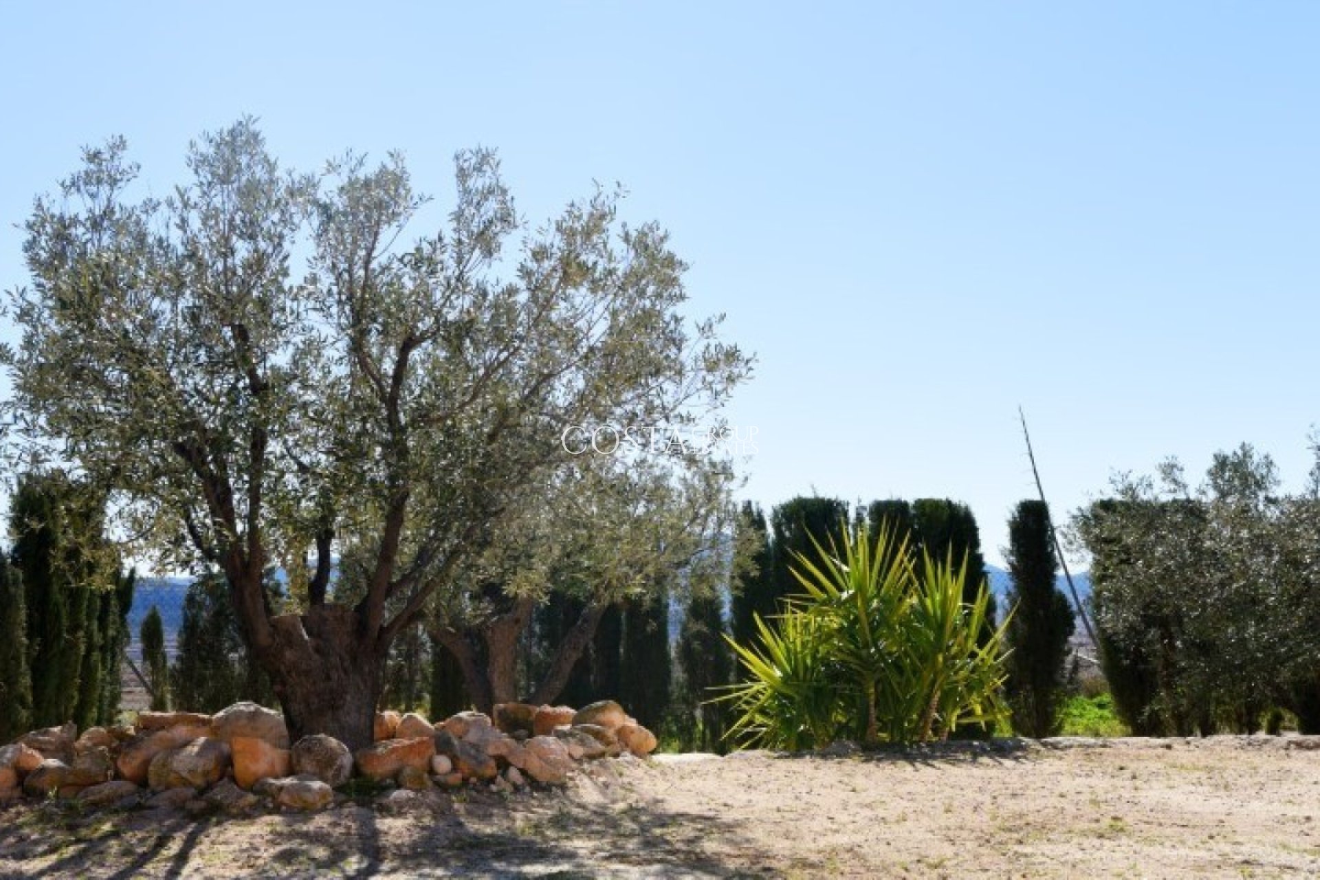 Revente - Villa -
Pinoso - Pinoso Centro