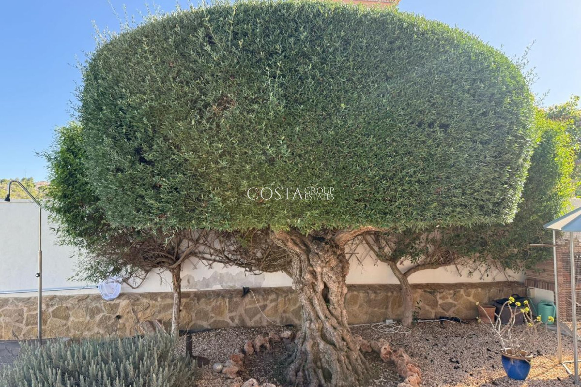 Revente - Villa -
San Miguel de Salinas - San Miguel de Salinas Centro