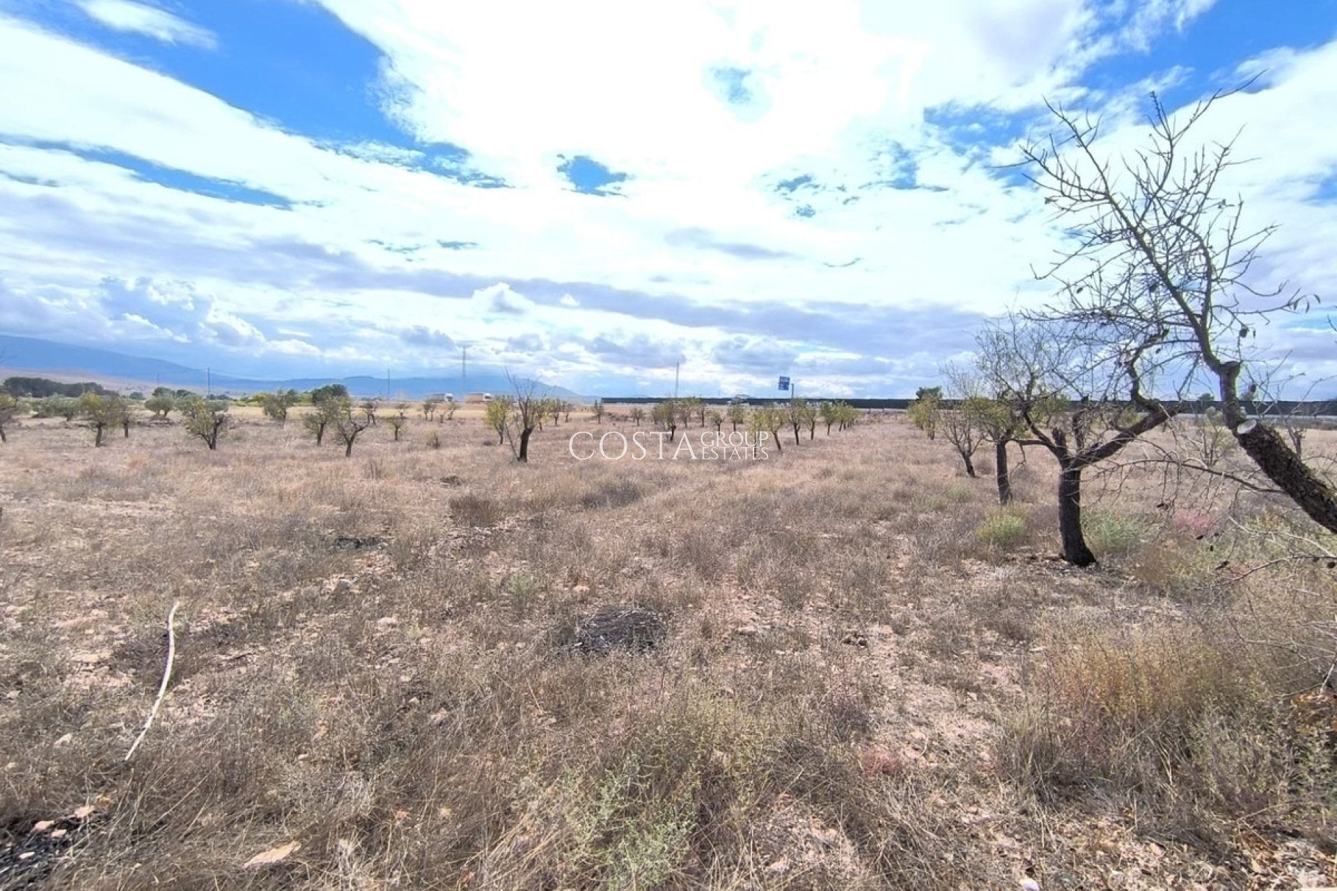 Revente - Villa -
Yecla - Yecla Centro