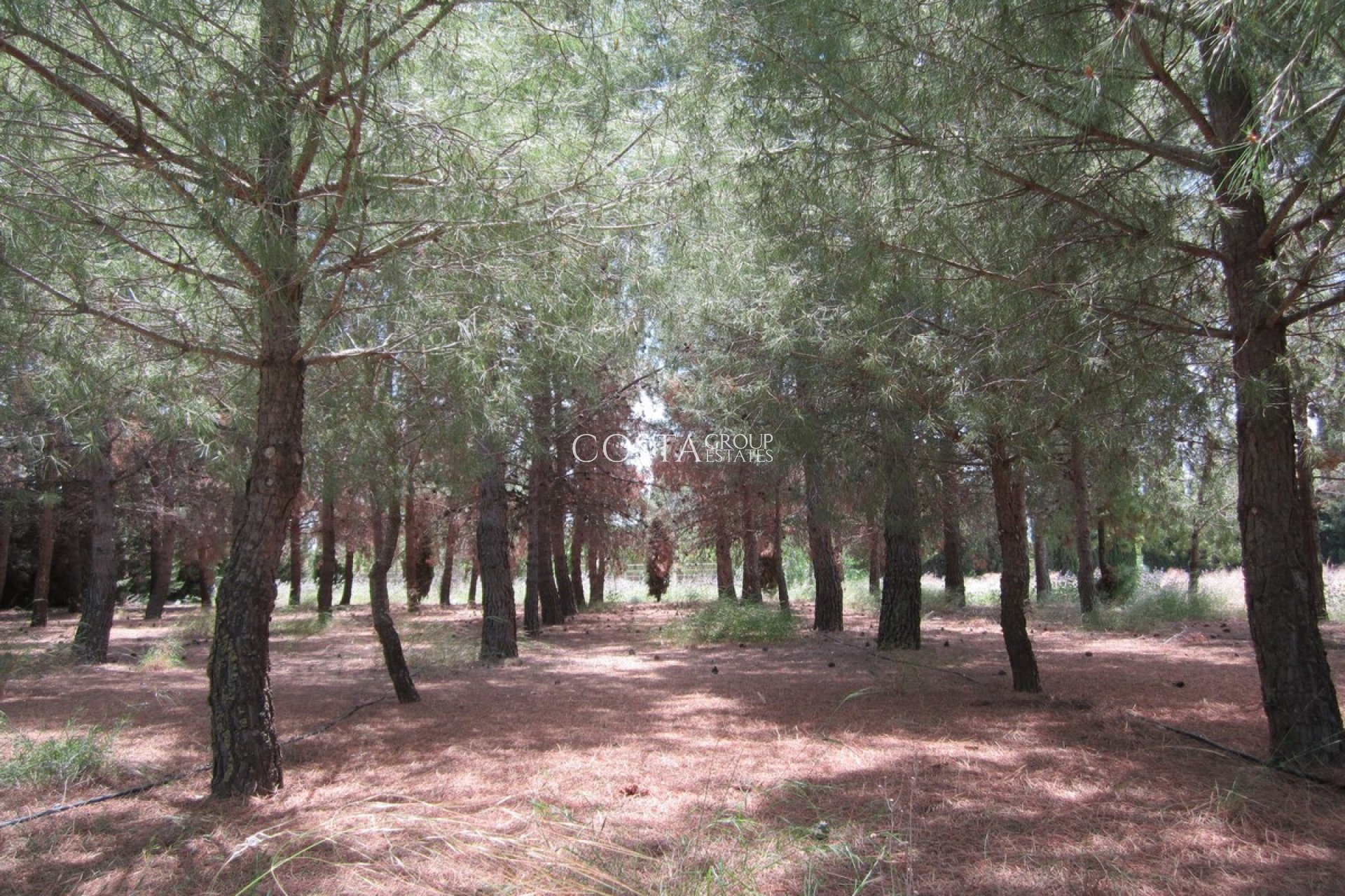 Revente - Villa -
Yecla - Yecla Centro