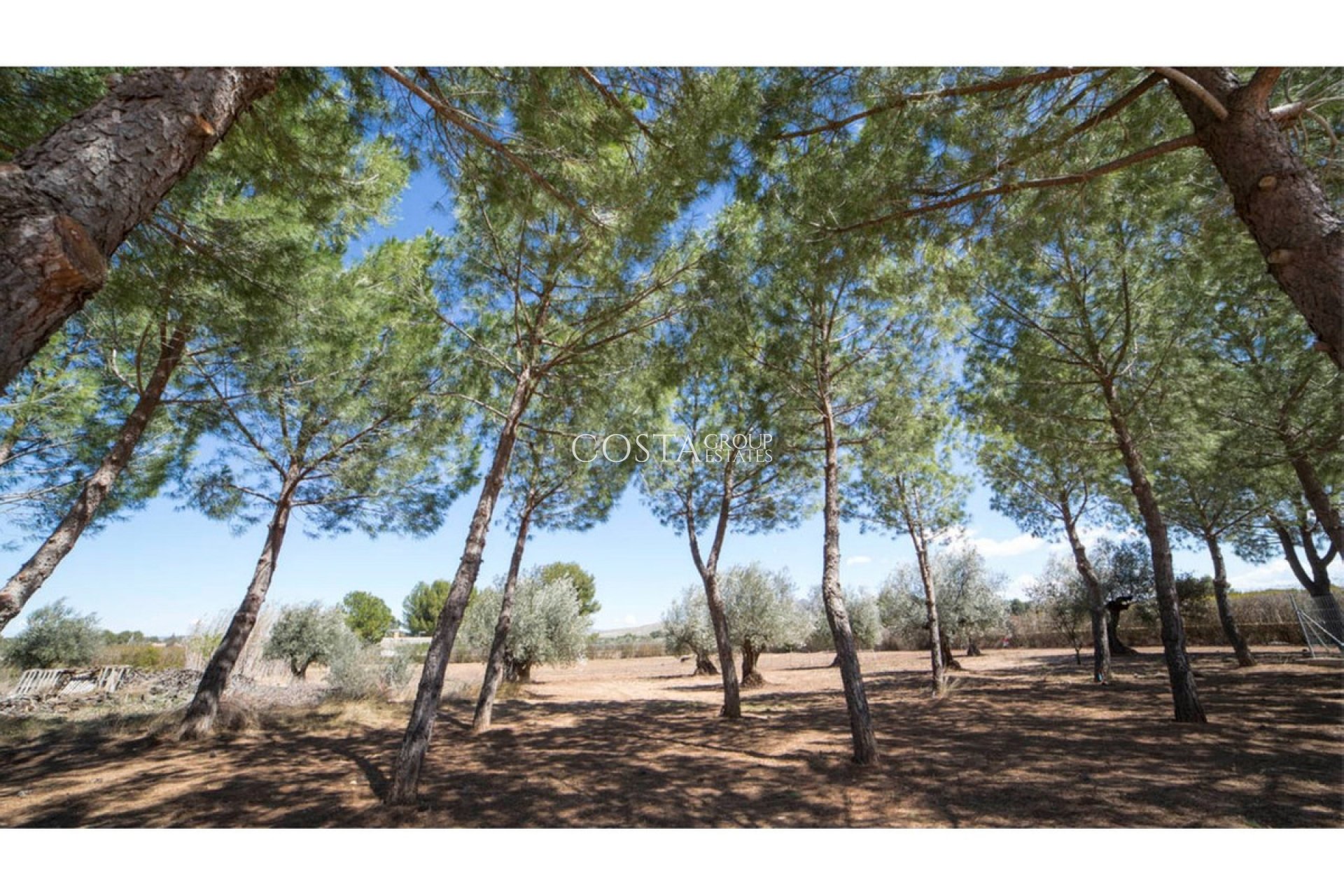 Revente - Villa -
Yecla - Yecla Centro