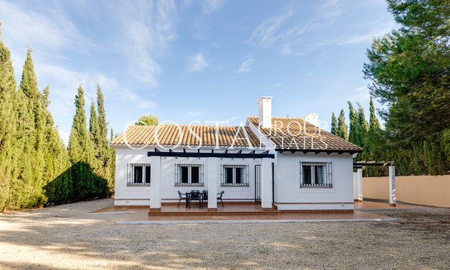 terraced - Nieuwbouw Woningen - Fuente Álamo - Fuente Alamo