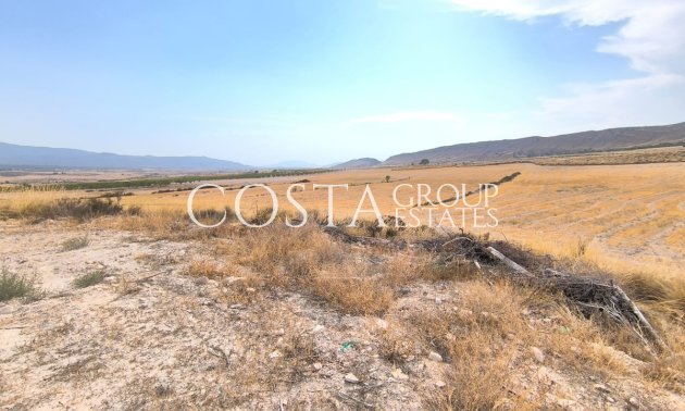 Villa - Herverkoop - Jumilla - Jumilla Centro