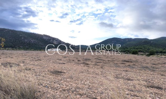 Villa - Herverkoop - Yecla - Yecla Centro